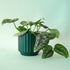 A dark green fluted ceramic planter. 