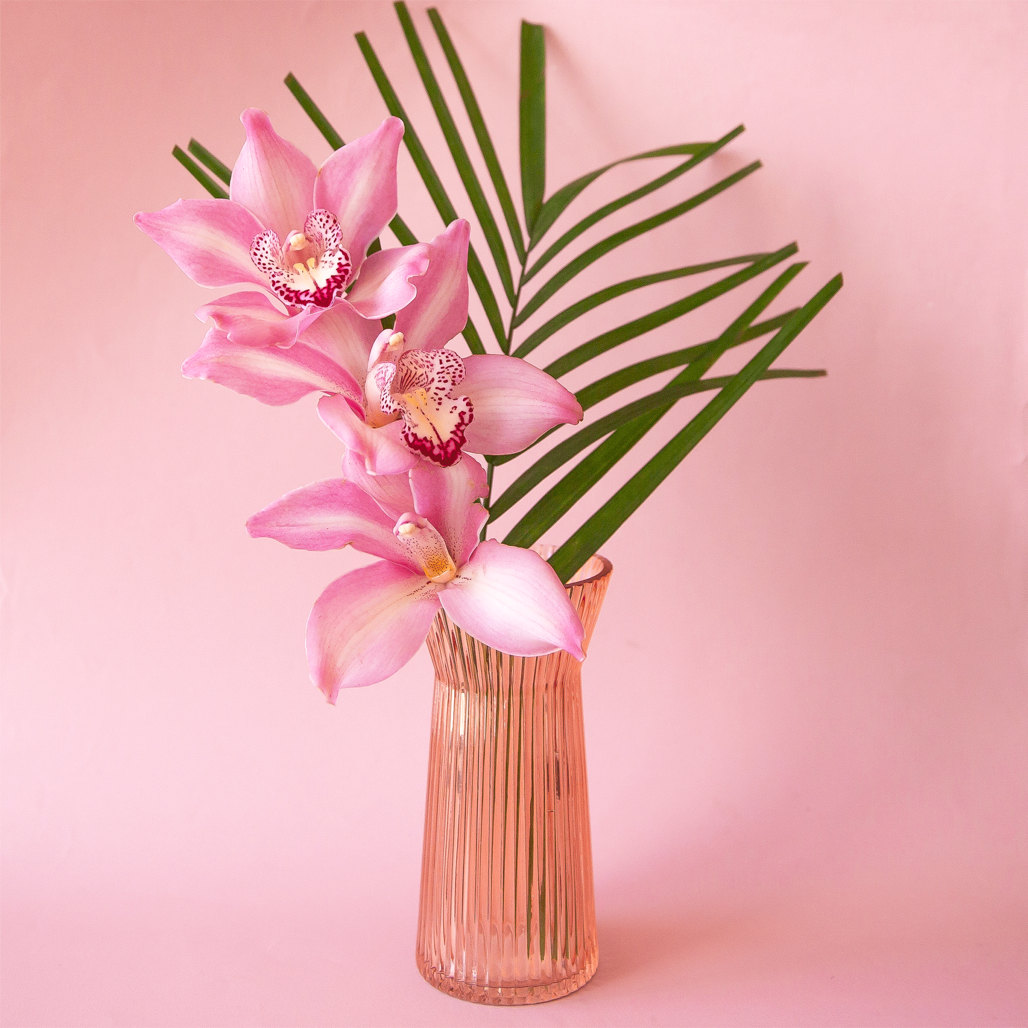 On a pink background is a apricot colored ribbed glass vase with a pink orchid inside.
