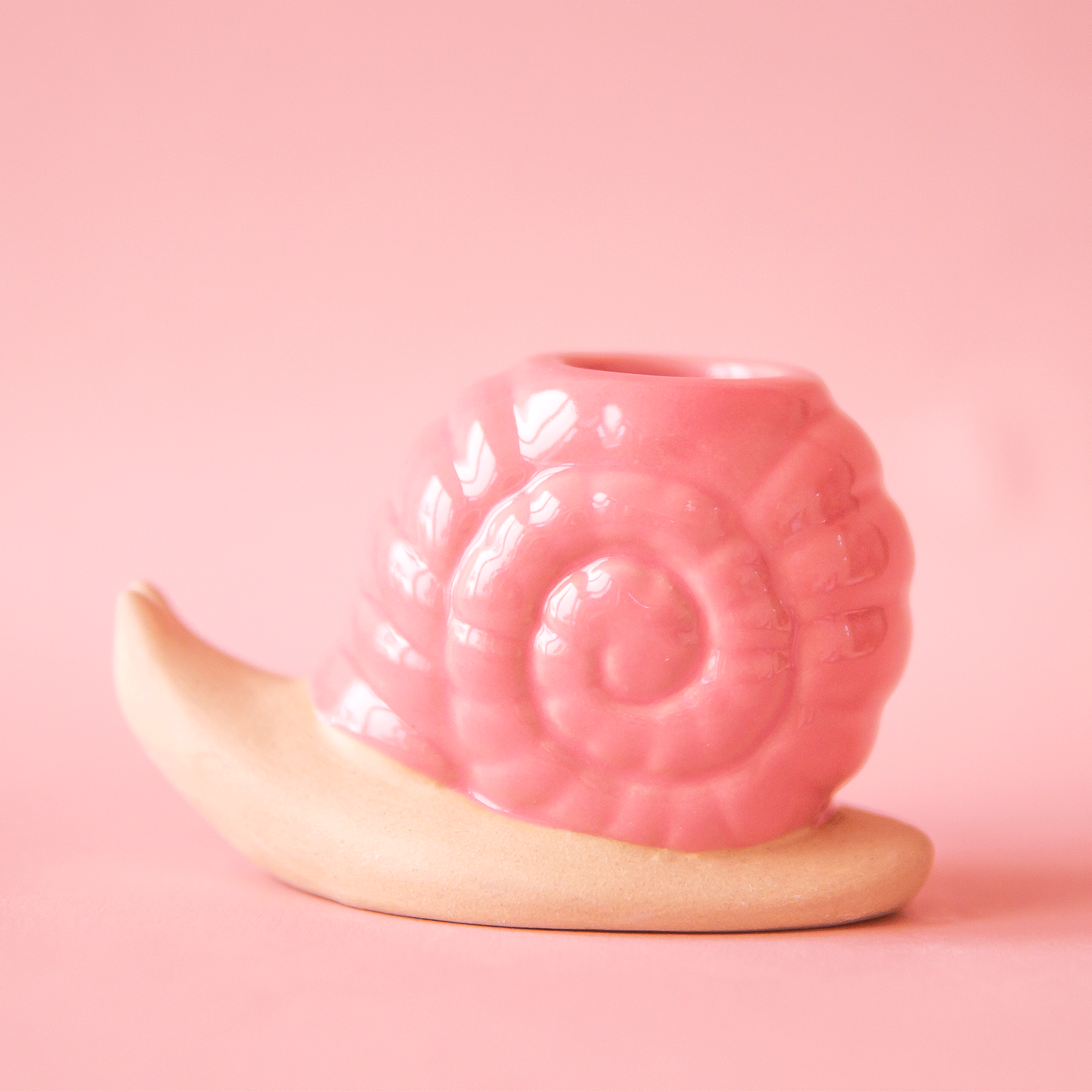 On a pink background is a pink snail shaped candle holder. 