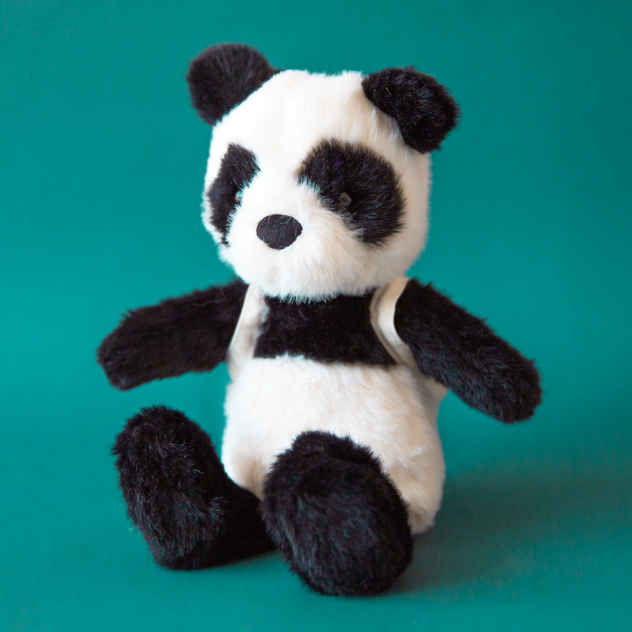 On a teal background is a black and white panda stuffed toy wearing a panda backpack.