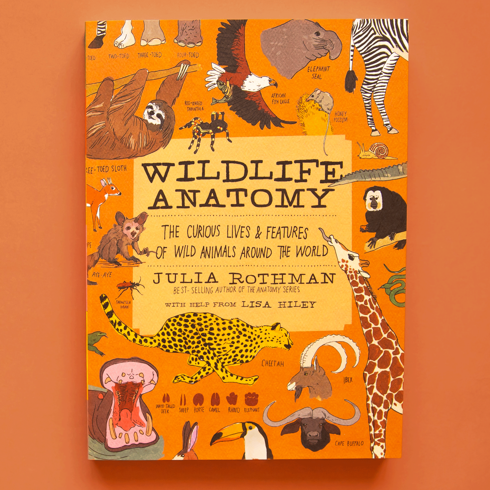 On an orange background is an orange book with a variety of animals on the front and a title that reads, "Wildlife Anatomy The Curious Lives & Features Of Wild Animals The World". 