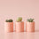 On a peachy background is tiny ceramic peach pots with a small succulent or cacti inside. 