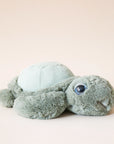 The sweetest stuffed turtle complete with the softest sea salt green fabric, happy round eyes and a cutesy smile.
