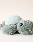 The sweetest stuffed turtle complete with the softest sea salt green fabric, happy round eyes and a cutesy smile.