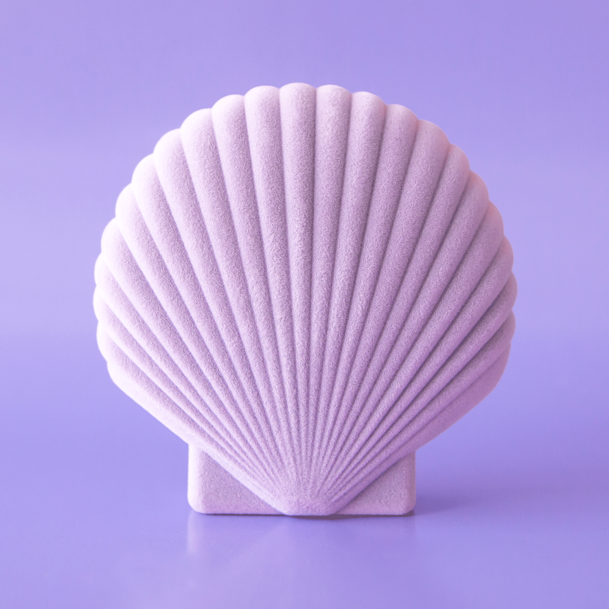 On a purple background is a purple plastic and velvet jewelry / storage box in the shape of a sea shell.  