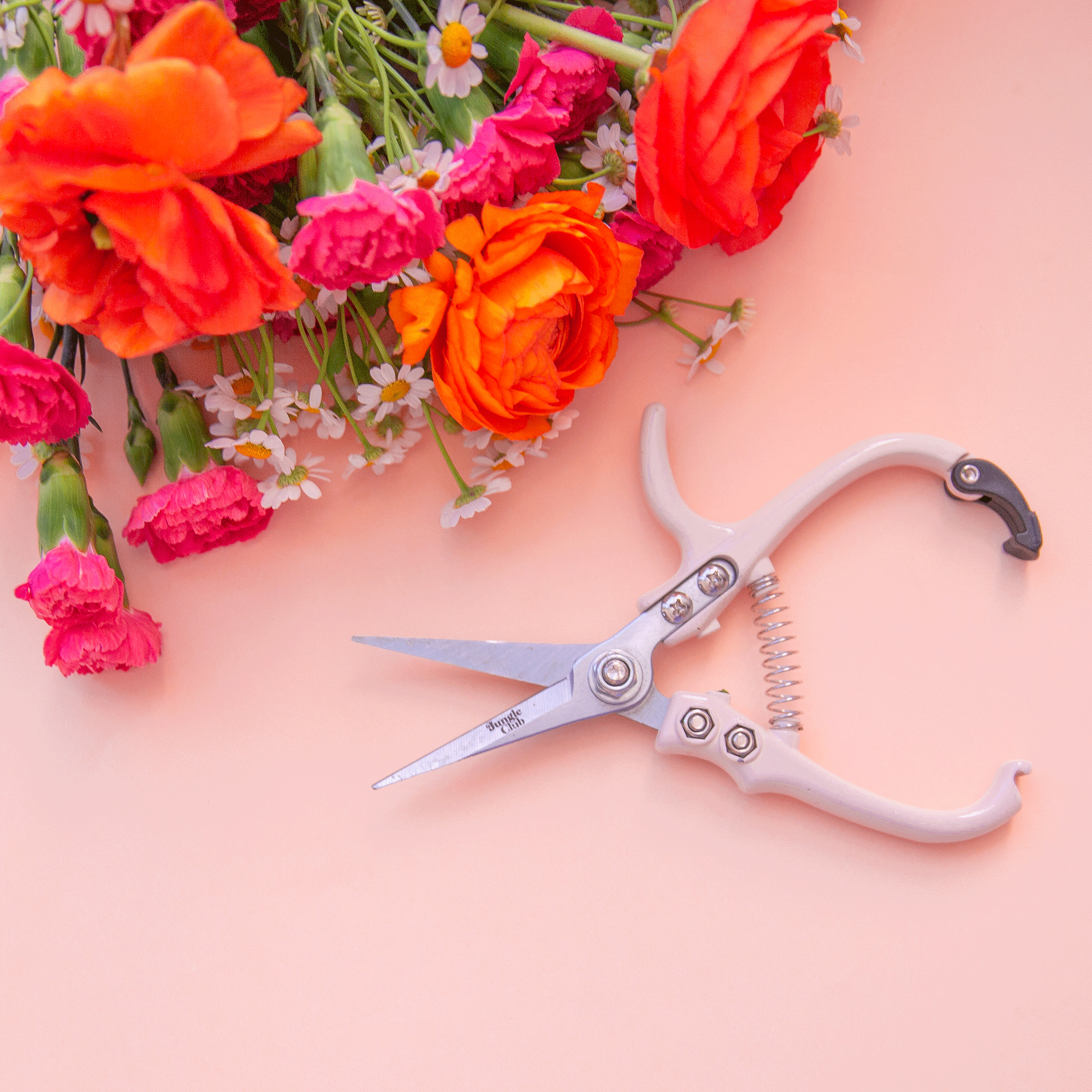 Pruning shears with a narrow tip, and light cream colored handle and a black clasp to connect when shears are not in use. There is small black text on the side of the shears that read, "Jungle Club".