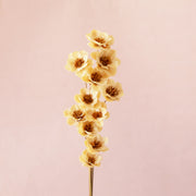 Anemone Flower | White