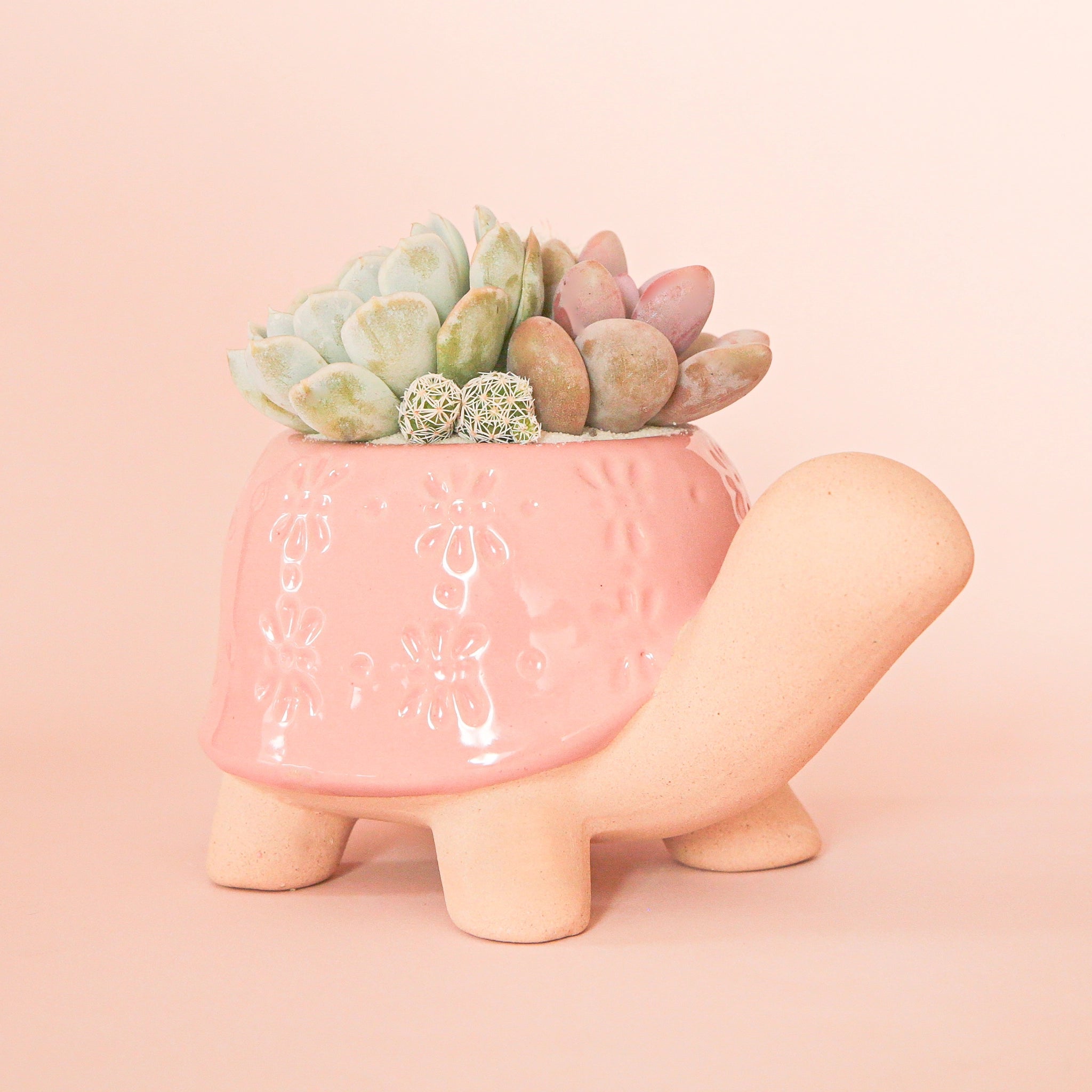 On a peachy background is a ceramic planter in the shape of a turtle with a light pink &quot;shell&quot; with a subtle floral print and filled in this photo with various succulents and cacti not included with purchase.