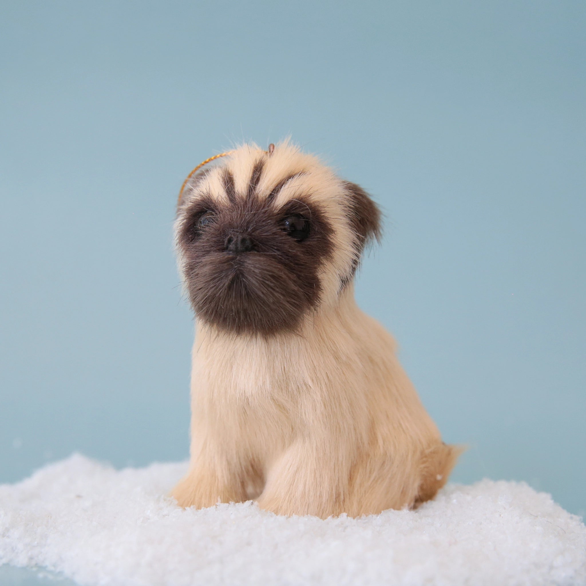 On a blue background is a light tan and brown furry pug ornament. 