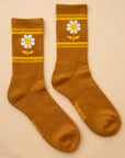 On a peachy background is a burnt orange pair of socks with a daisy graphic on the sides. 