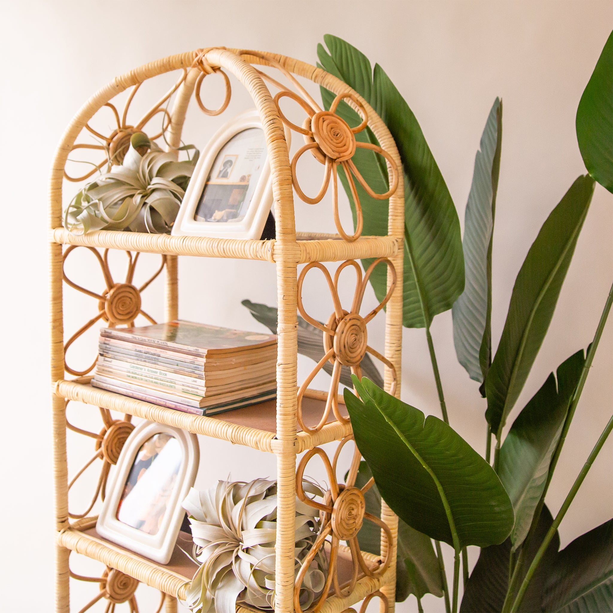 The large version of the shelf. Natural woven rattan shelf with daisy accents on both sides. The sides are open and let in ample light to keep the shelves well lit. Each shelf is covered in rattan and has a chocolate brown bottom.