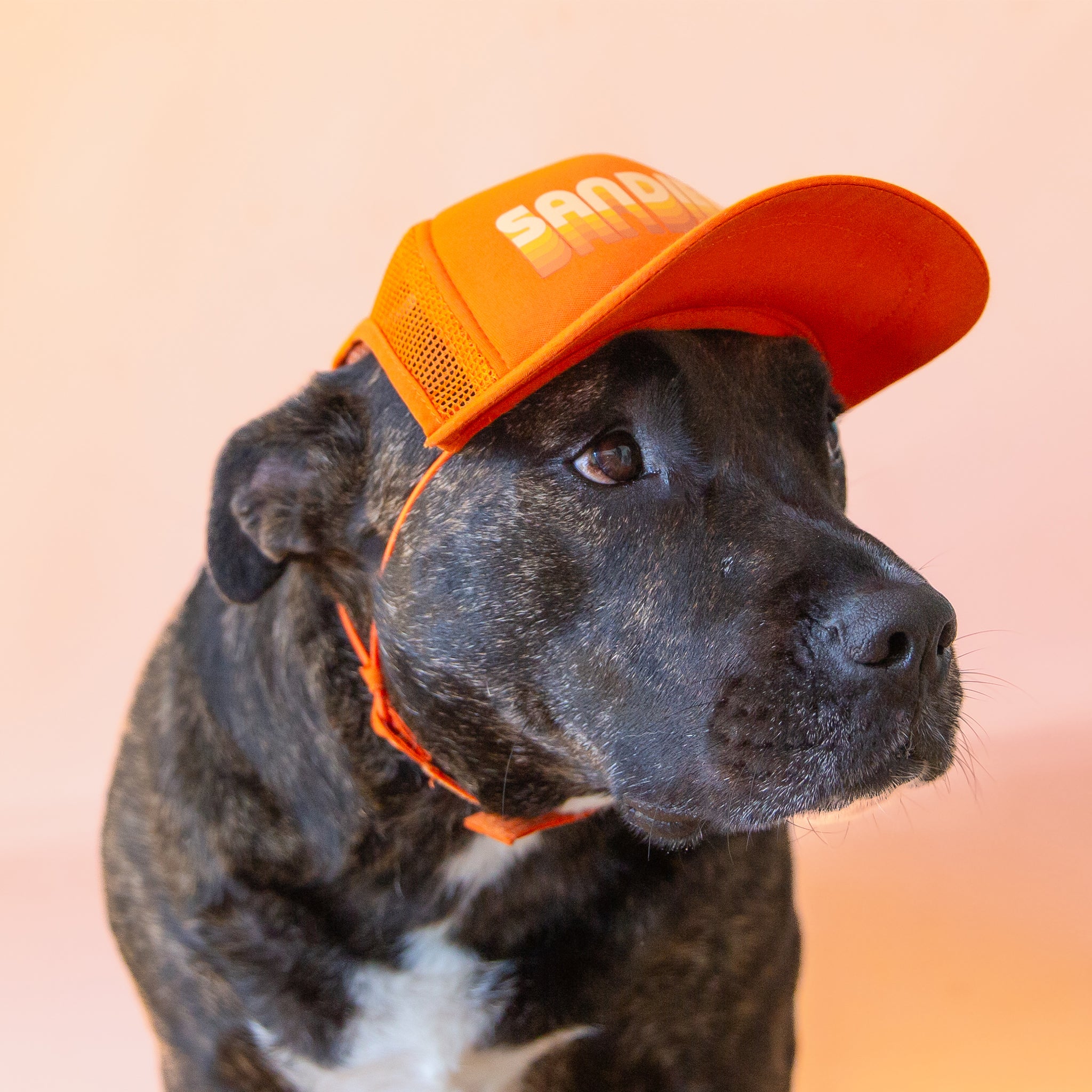 An orange puplid hat with text along the front that reads, &quot;San Diego&quot; and a neck strap.