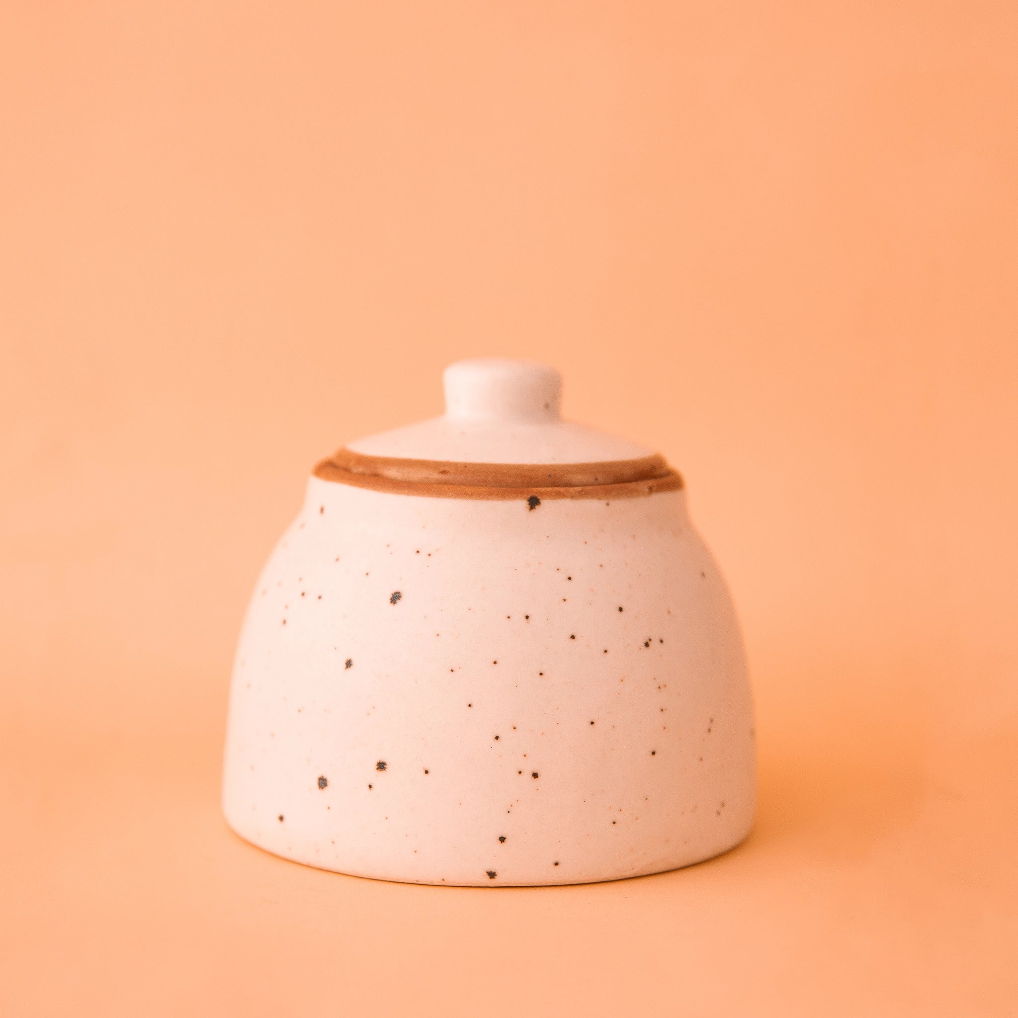 On a peachy background is a neutral stoneware sugar jar with a speckle texture.