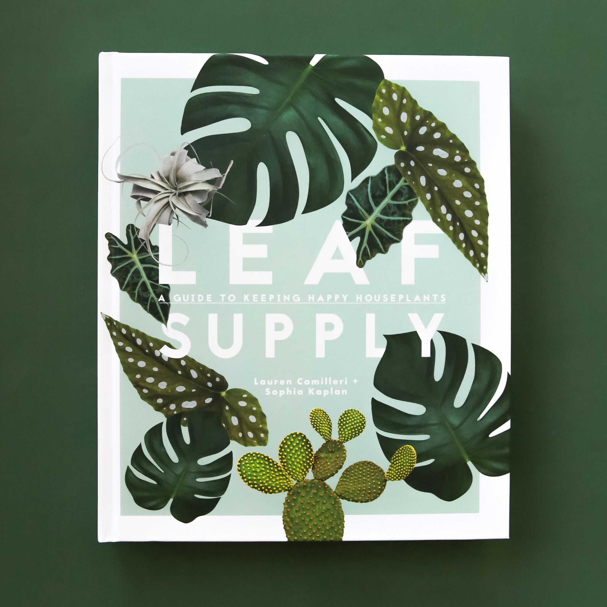 On a green background is a photograph of a mint green book cover with various house plant leaves on the front as well as white text that reads, &quot;Lead Supply A Guide To Keeping Happy House Plants&quot;.