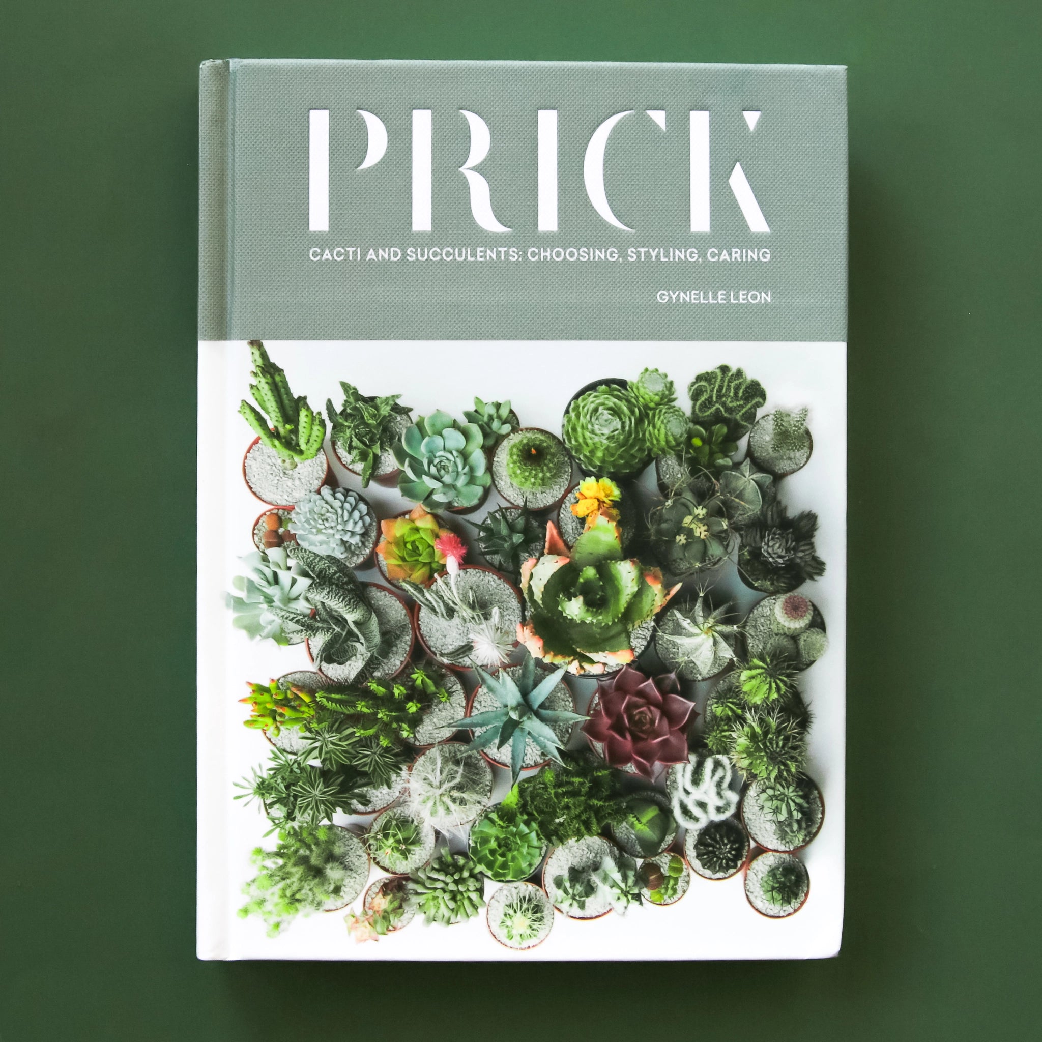 In front of a dark green background is the cover of a book. The top half is sage green with white text that reads ‘Prick.’ The bottom half is a sky blue color with a wide variety of different colored succulents and cacti.