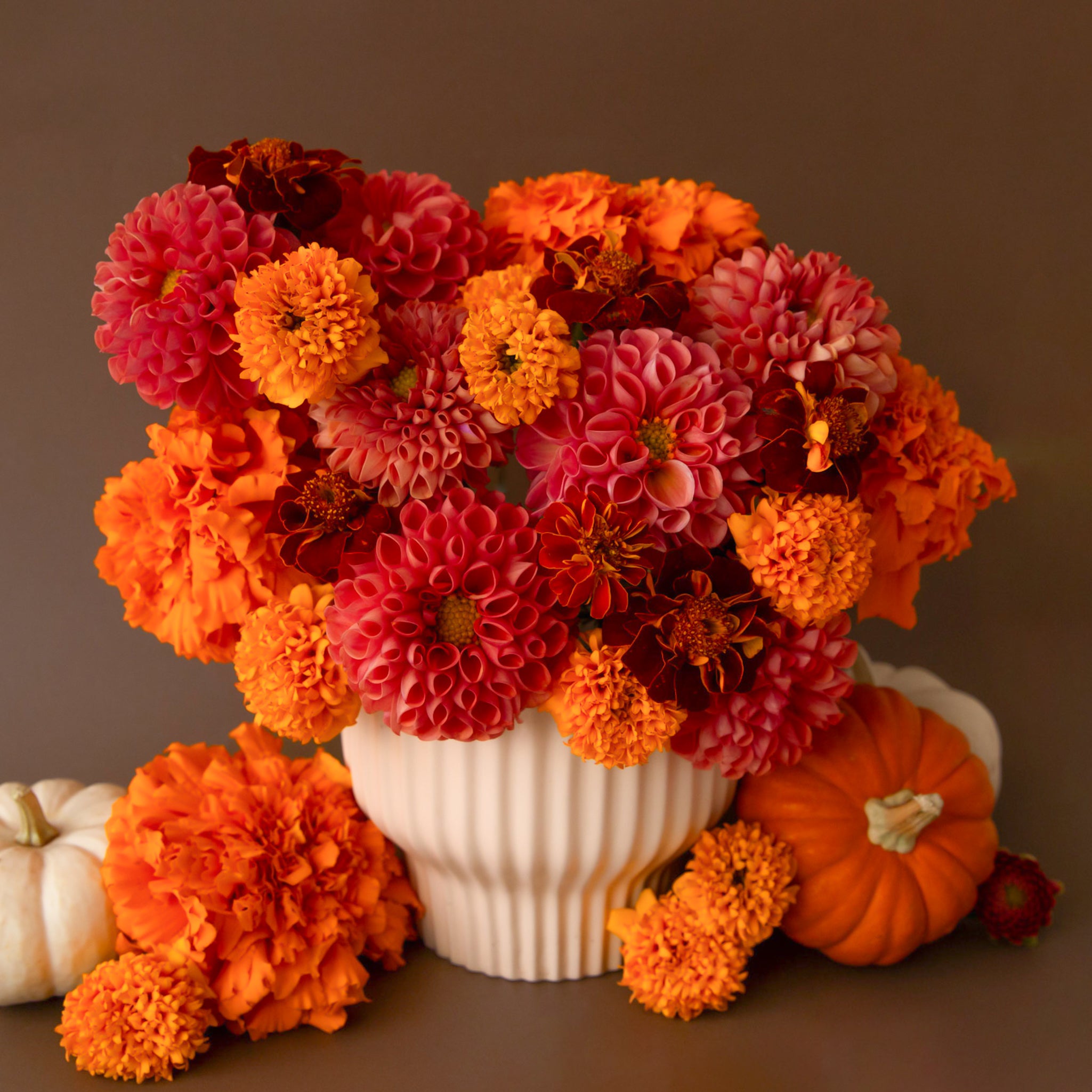 Bouquet of orange and pink flowers in a white vase with pumpkins on a brown background