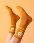 On a peachy background is a burnt orange pair of socks with a daisy graphic on the sides.