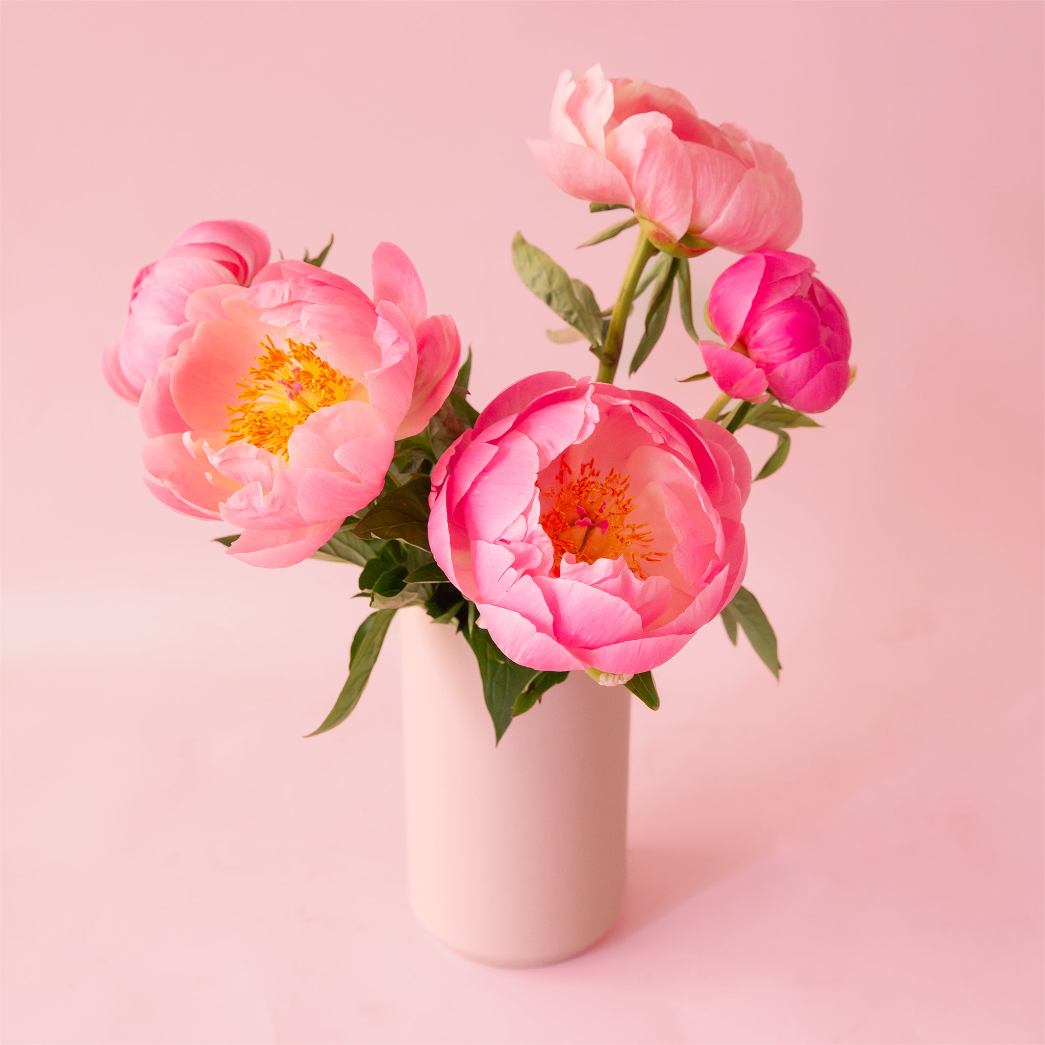 A tall, matte pink cylindrical vase with a dried floral arrangement inside.