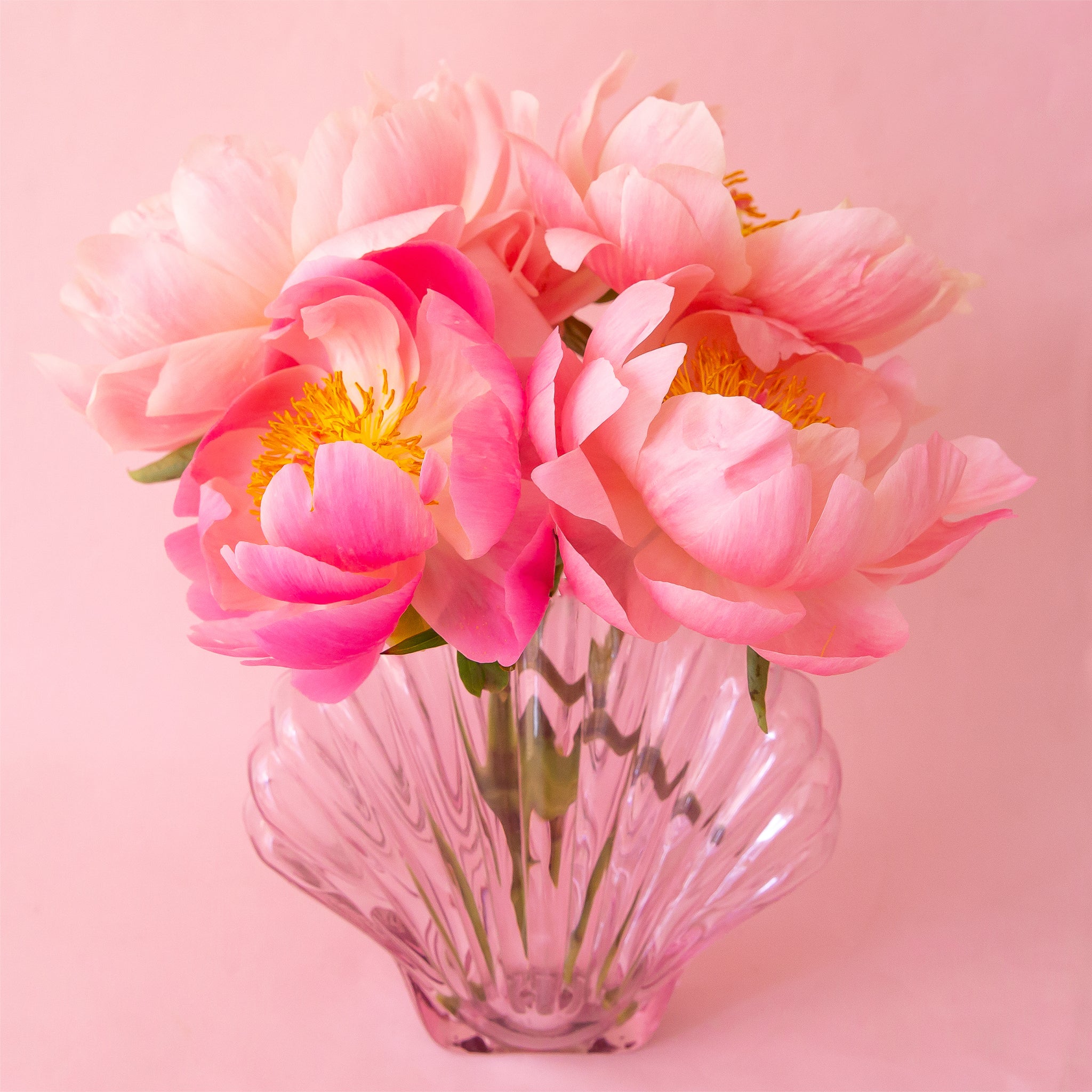 A light pink sea shell shaped vase filled with florals.