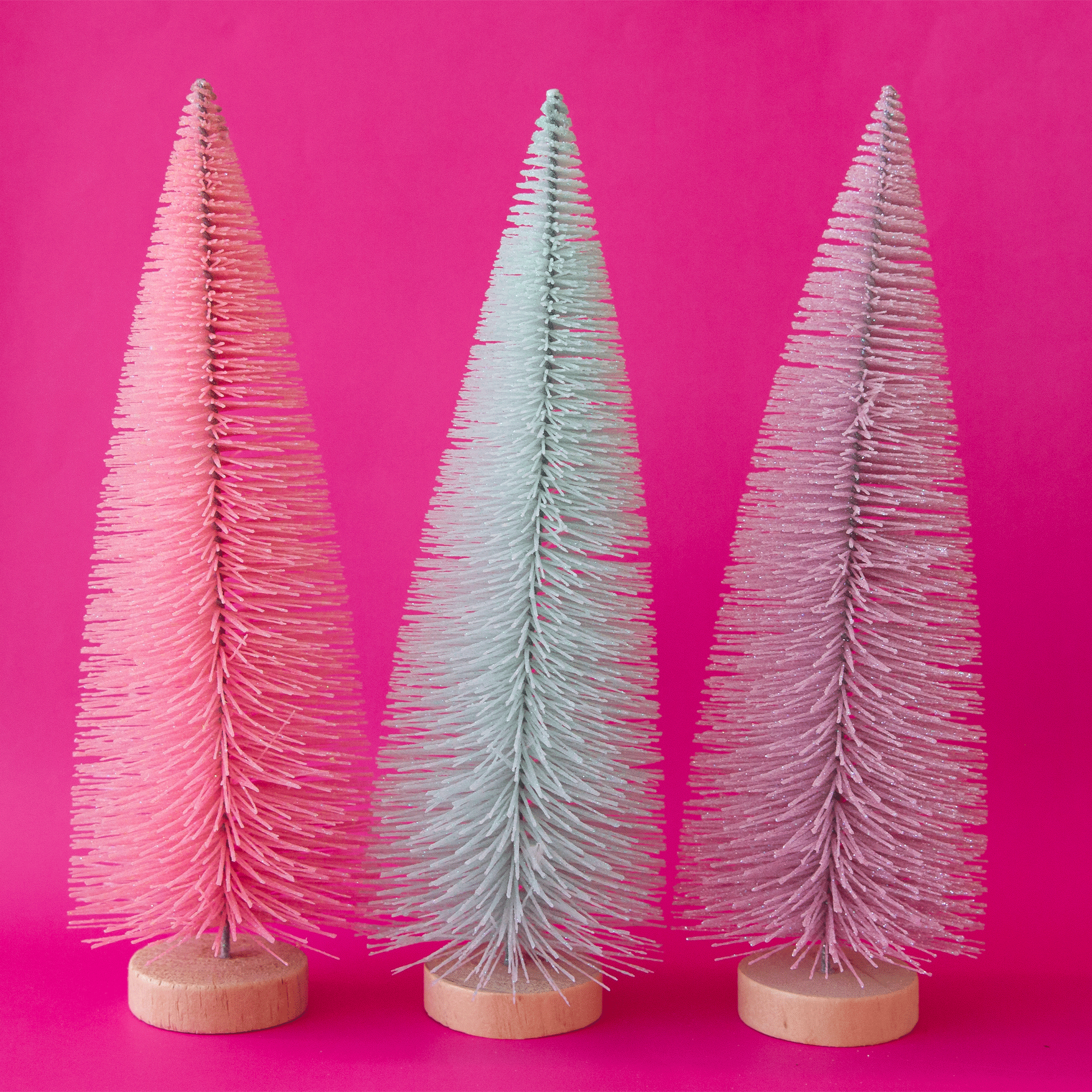 On a pink background is all three colors of the bottle brush trees.