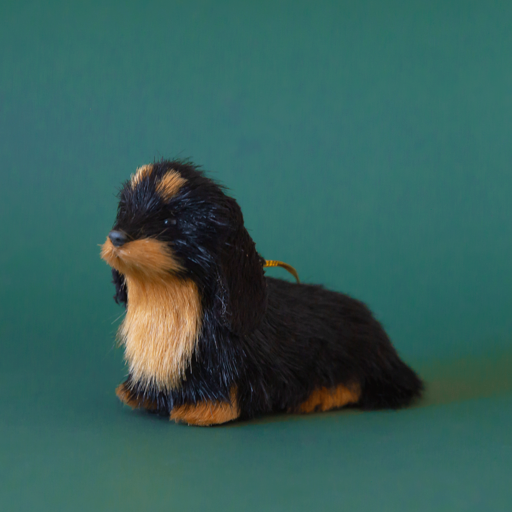 On a green background is a furry black and tan dachshund shaped ornament. 
