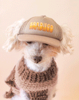 On a tan background is a white dog wearing a tan baseball hat with a mesh back and yellow text that reads, "San Diego".