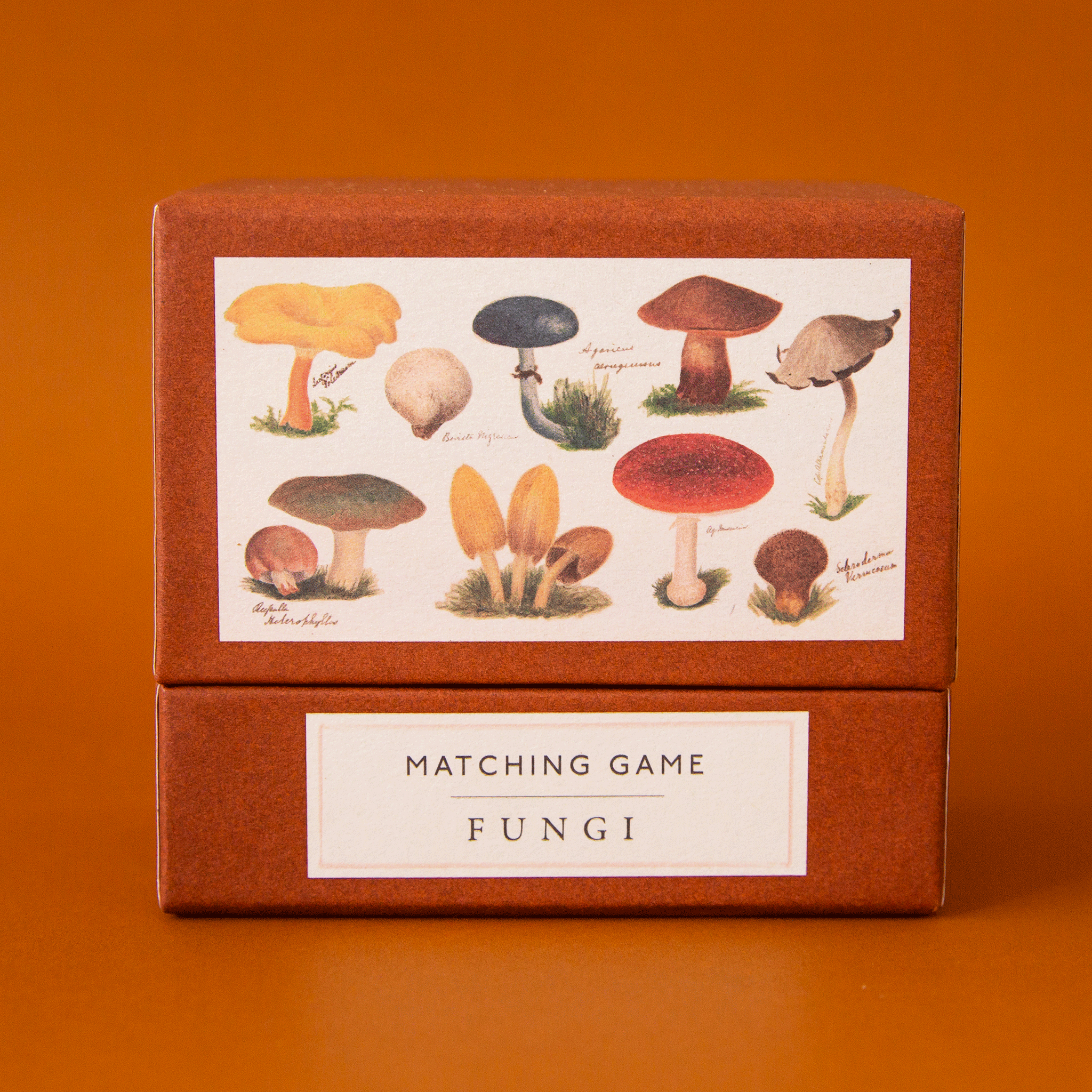 On an orange background is a burnt orange box with an assortment of mushrooms along with, &quot;Matching Game Fungi&quot;.