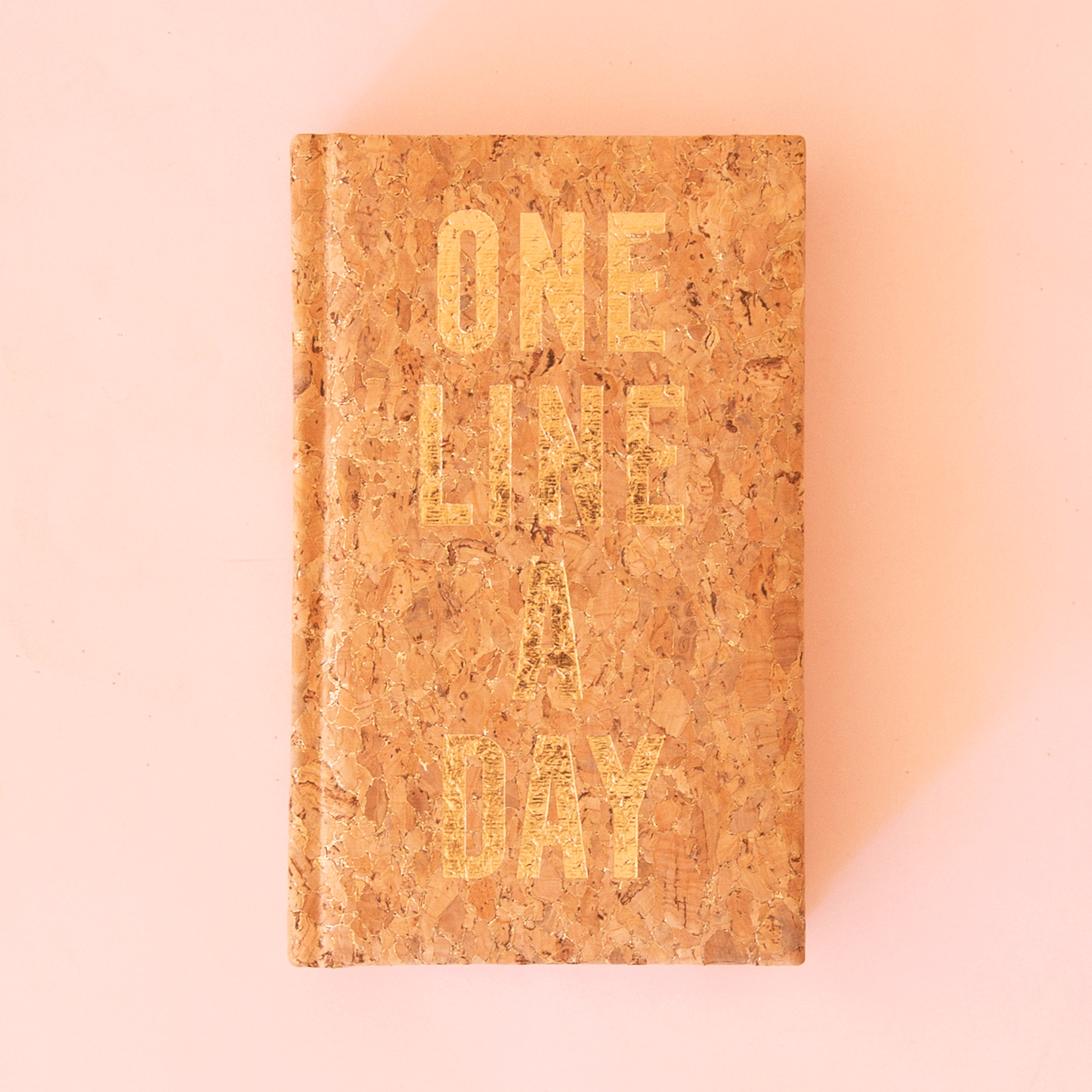 On a neutral background is a cork textured journal with gold text on the front that reads, "One Line A Day".