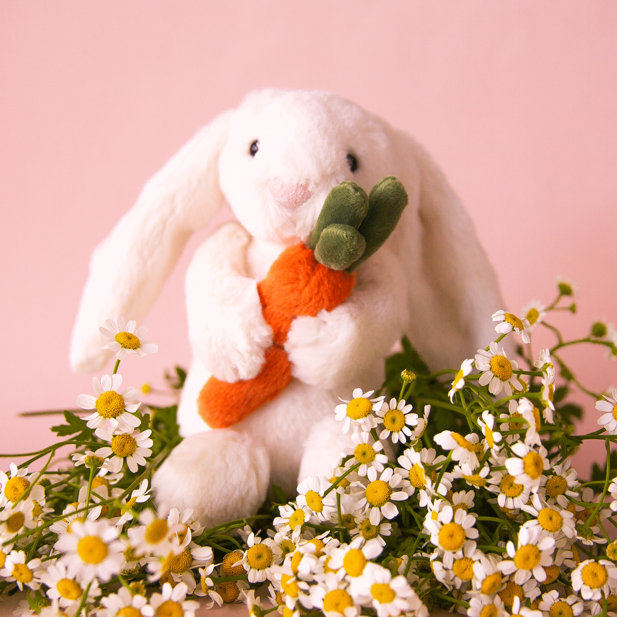 On pink background is a white stuffed toy bunny with long floppy ears and holding an orange stuffed toy carrot.