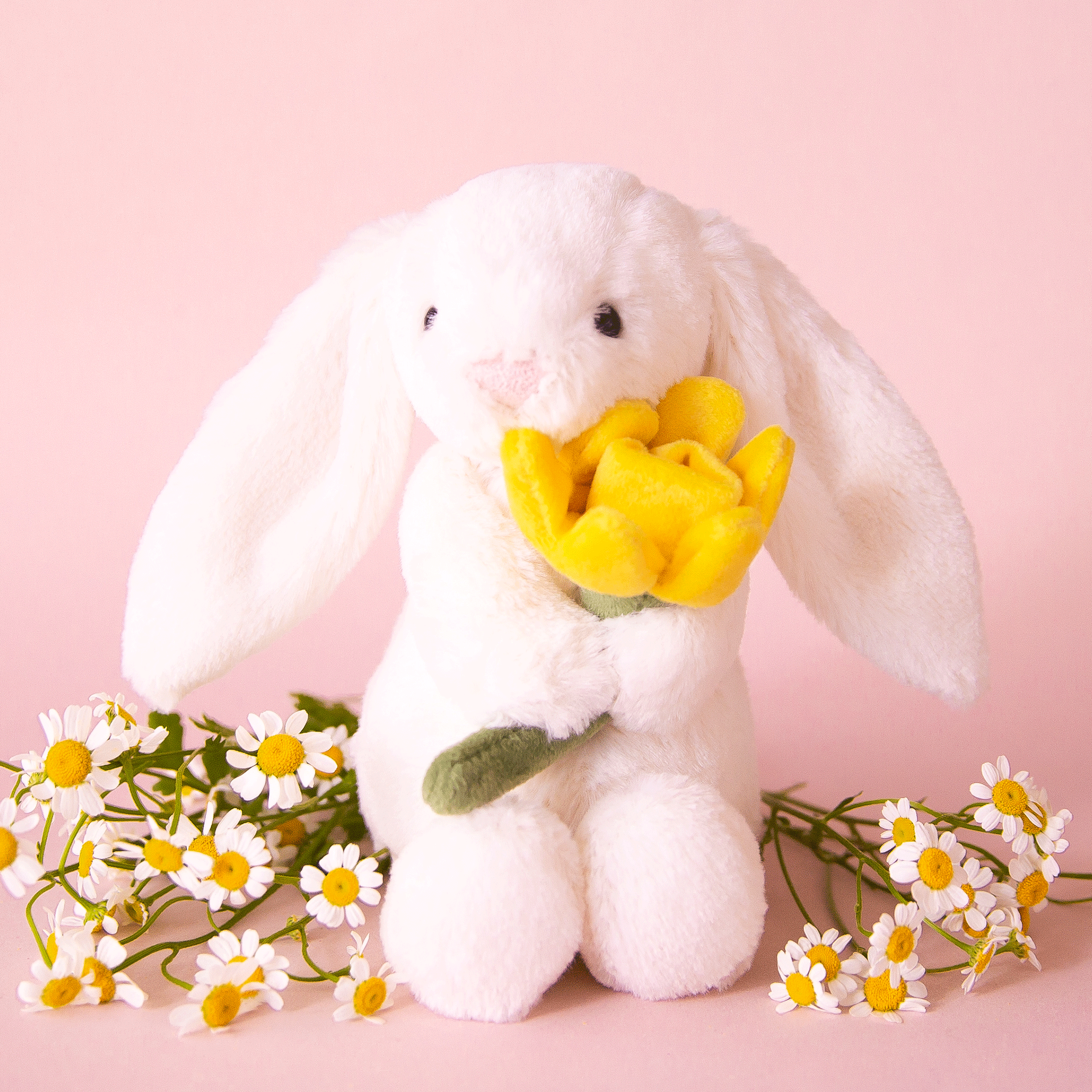 On a pink background is a fuzzy white bunny stuffed animal toy with long floppy ears and holding a stuffed daffodil.