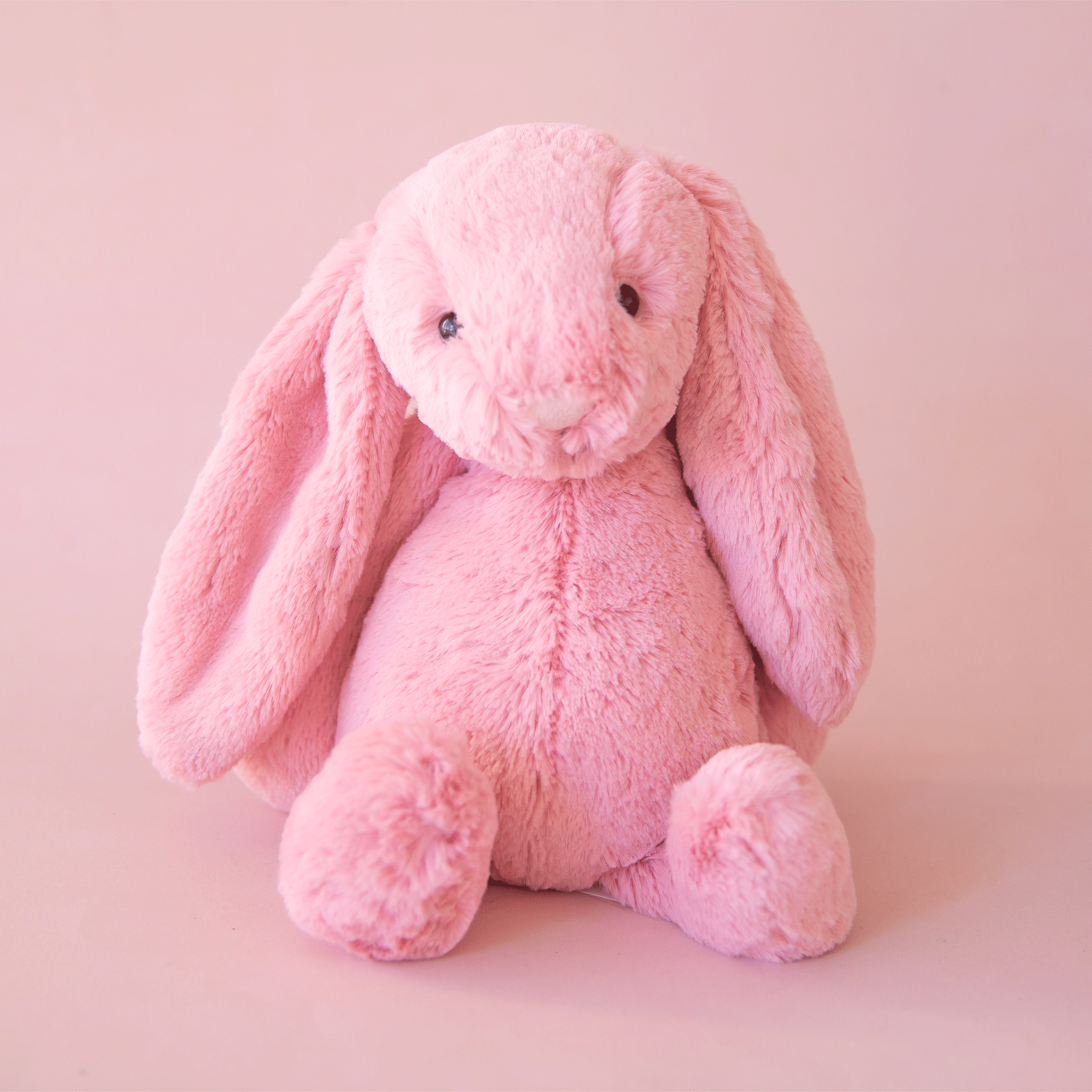 A fuzzy pink bunny stuffed animal with long floppy ears, a light pink nose and black eyes.
