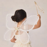 A fairy wing and wand set. 