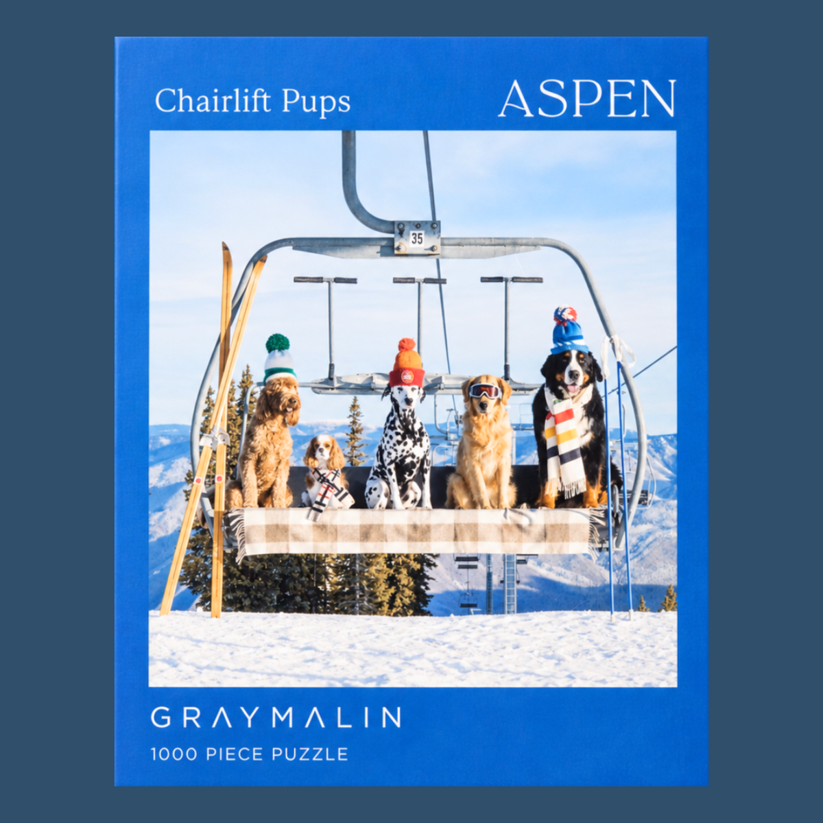 chairlift pups aspen
