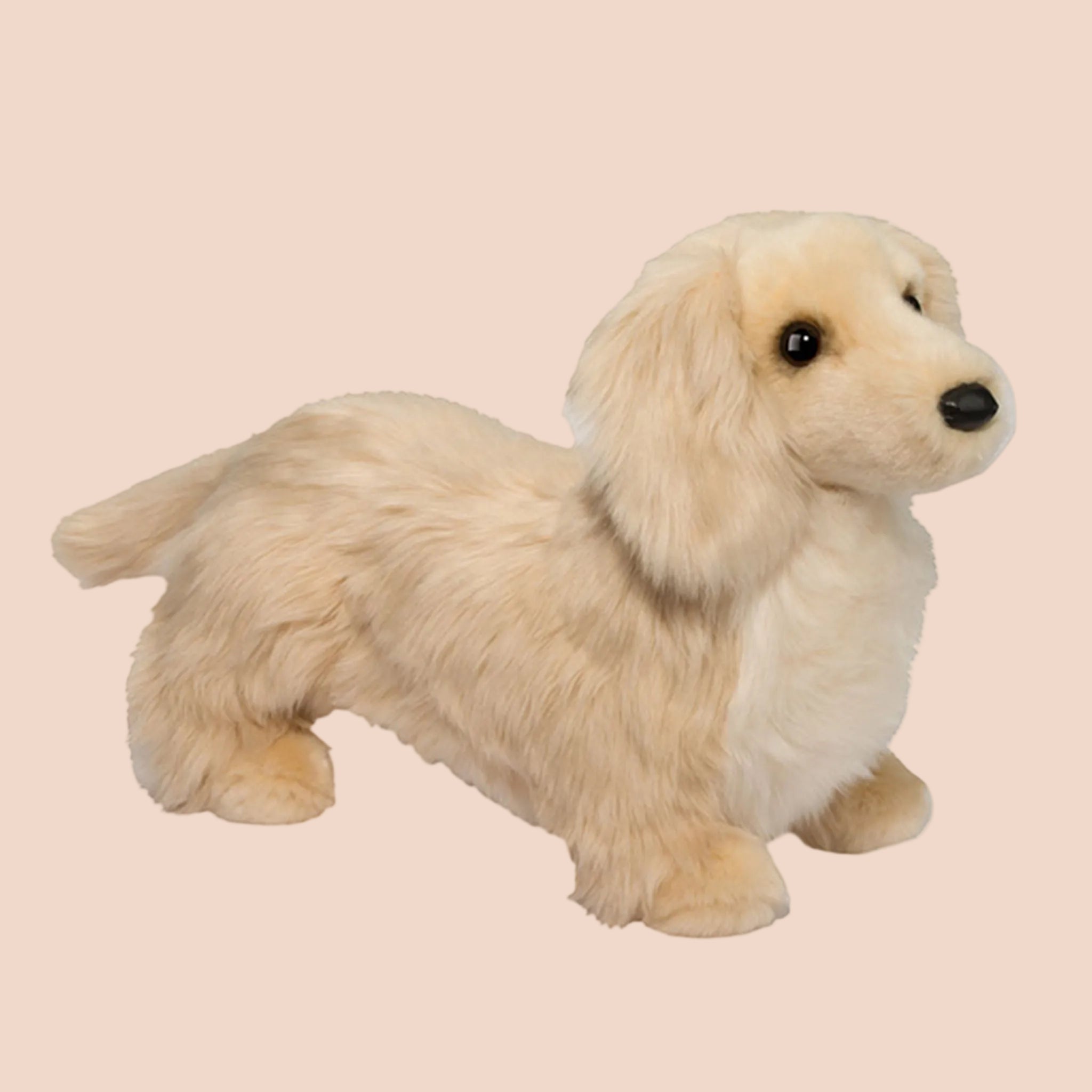A golden long haired dachshund shaped stuffed animal toy. 