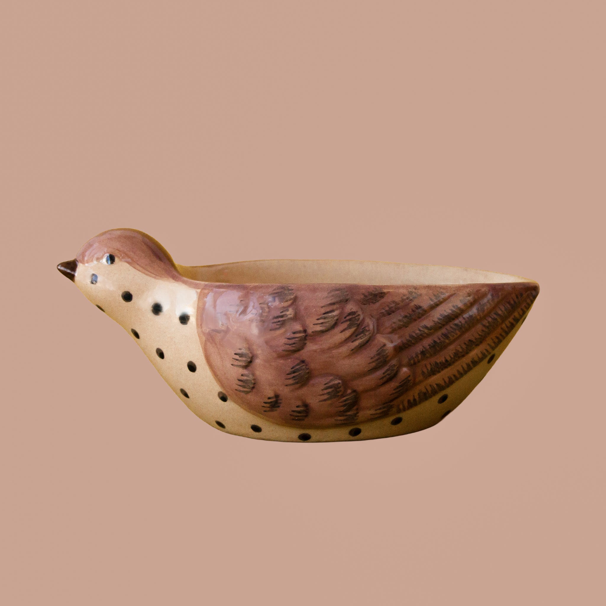 A brown and tan bird shaped bowl. 