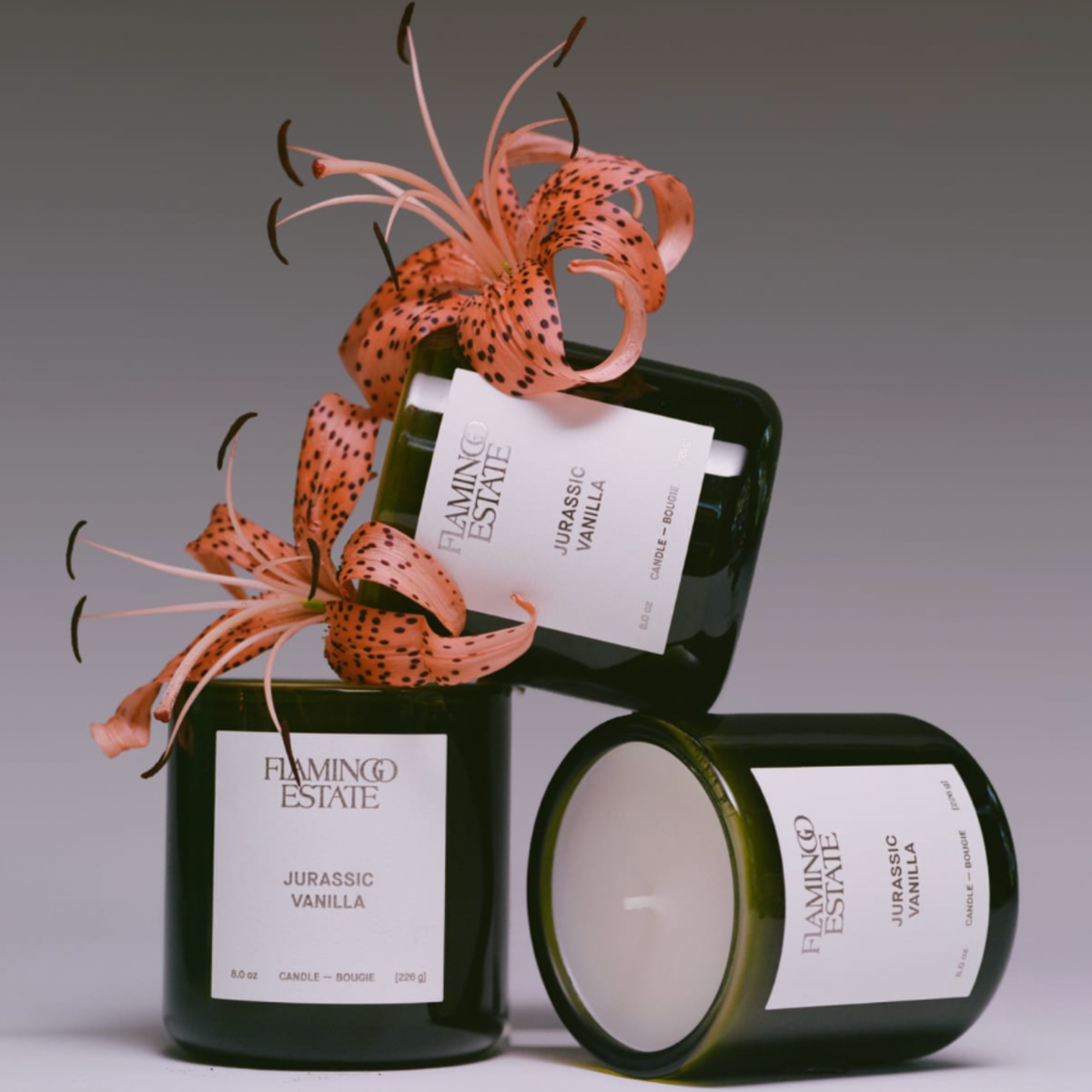 Jurassic_Vanilla_Candle