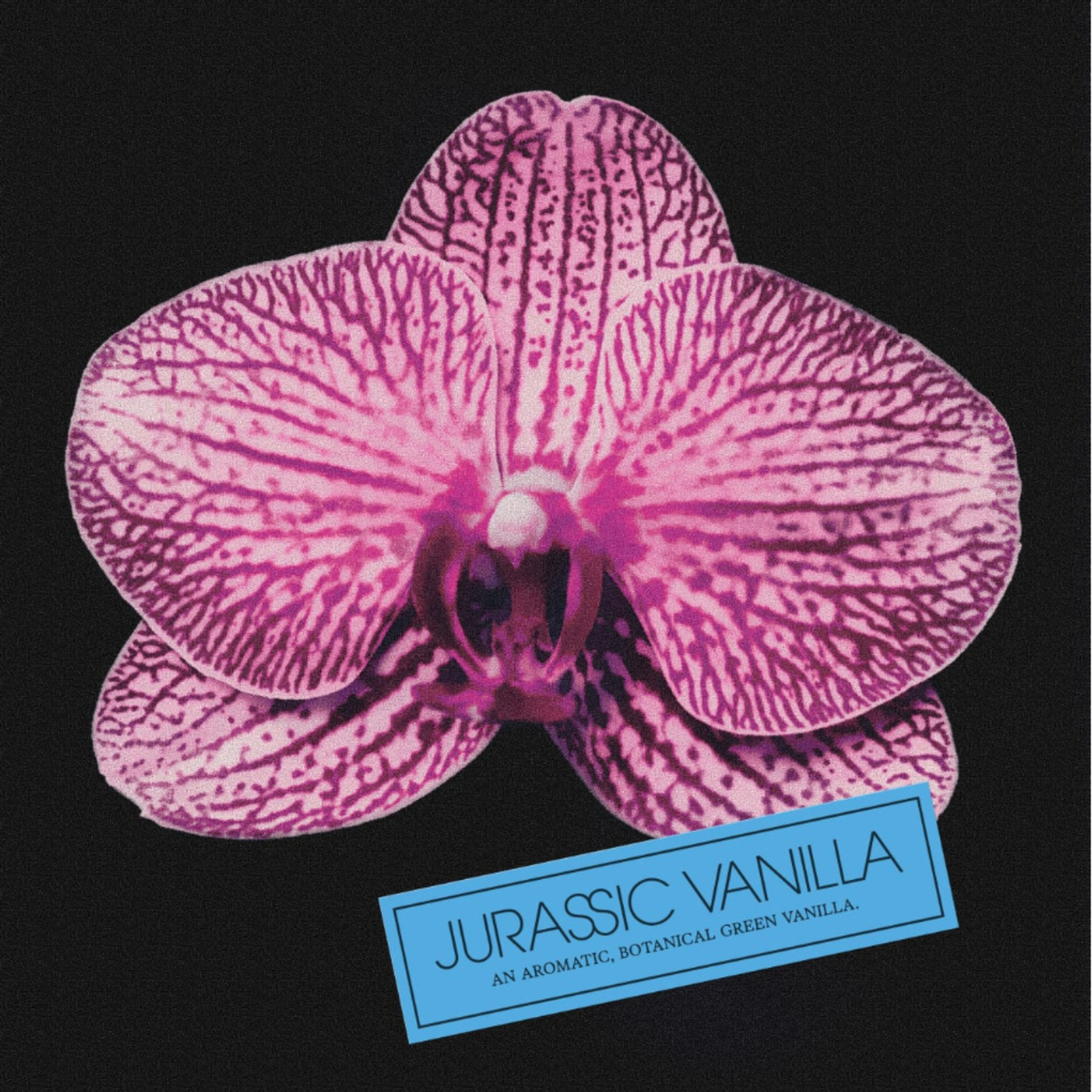 Jurassic_Vanilla_Candle