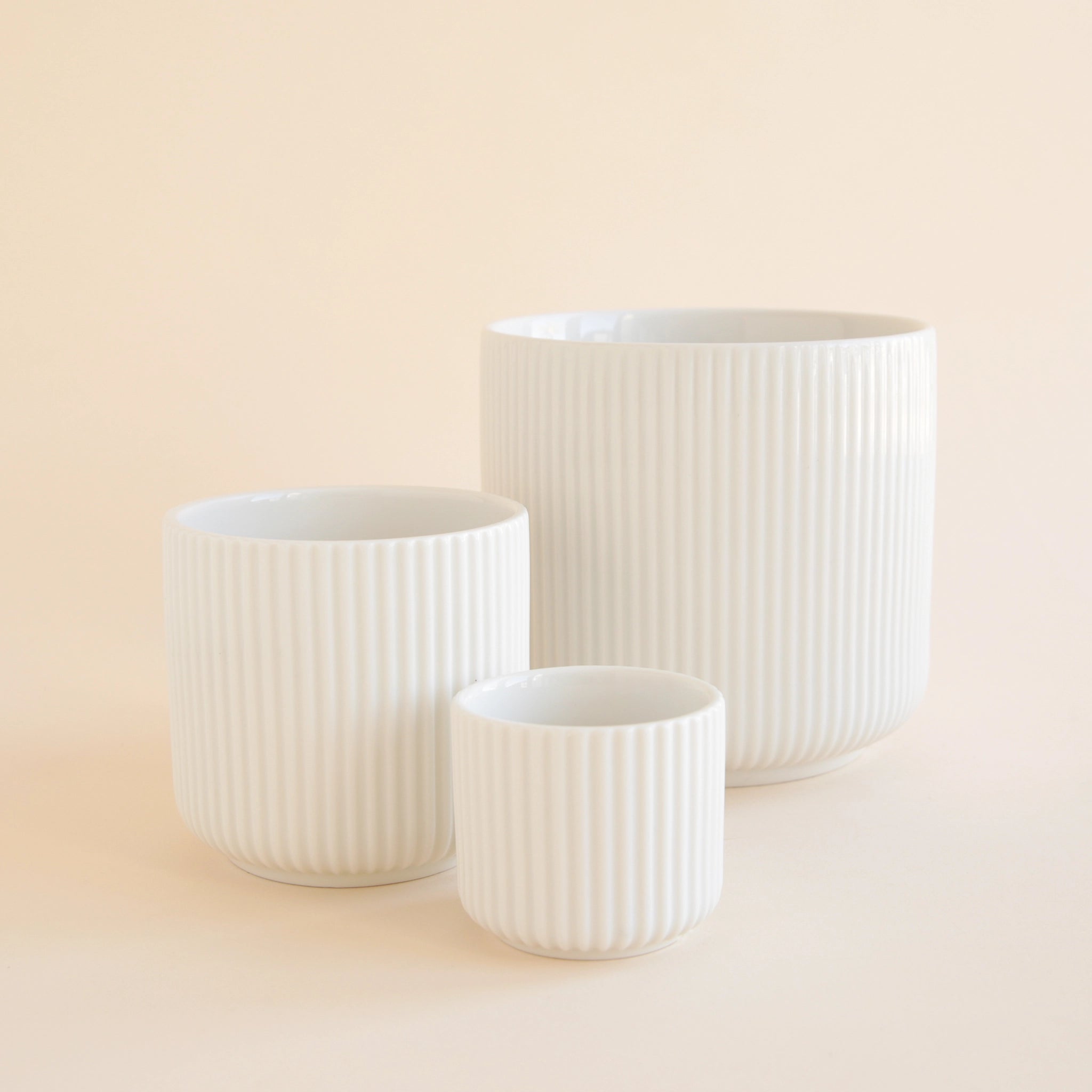 On an ivory background is three different sized white ceramic planters with a fluting detailing and a rounded bottom.
