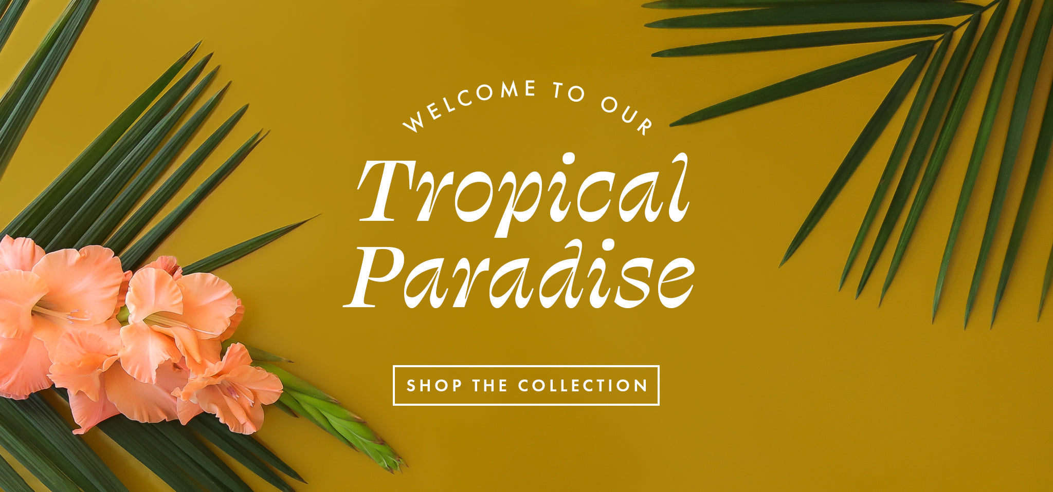 Welcome to our Tropical Paradise. Shop the collection. 