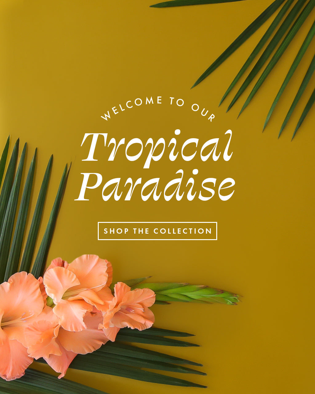 Welcome to our Tropical Paradise. Shop the collection. 