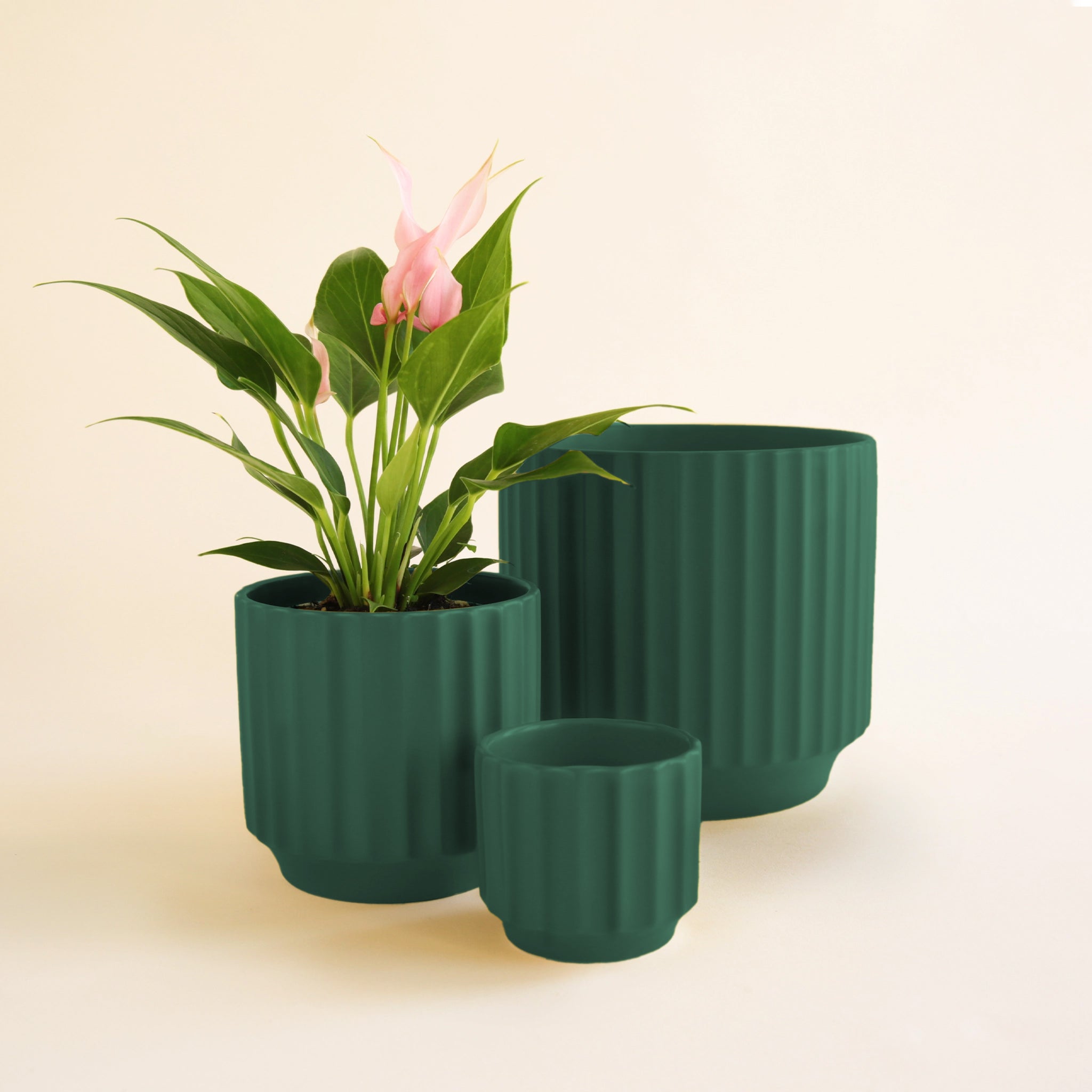 dark green planter pot Monroe Planter