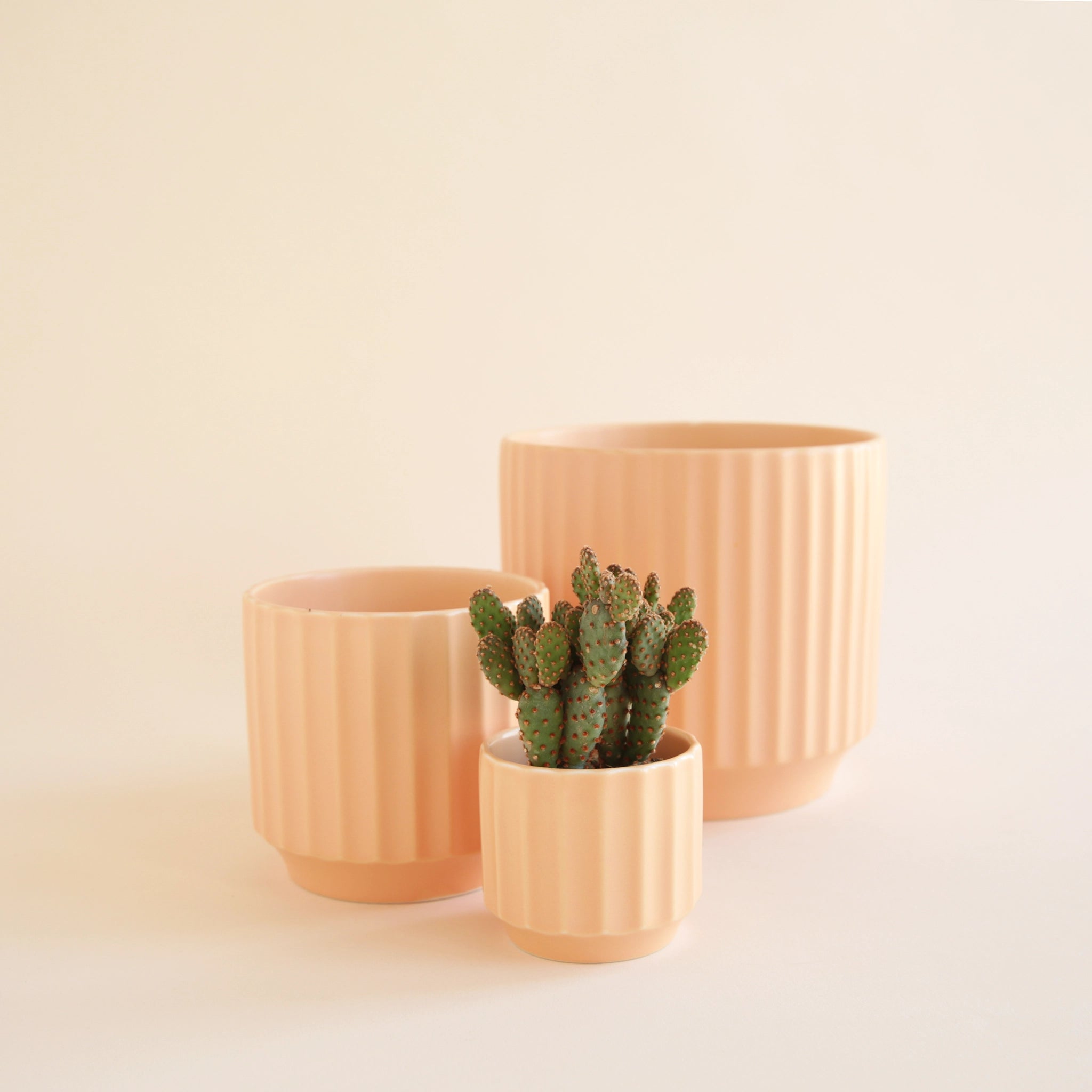 On an ivory background is three different shaped ceramic pots in a warm toned pink shade.