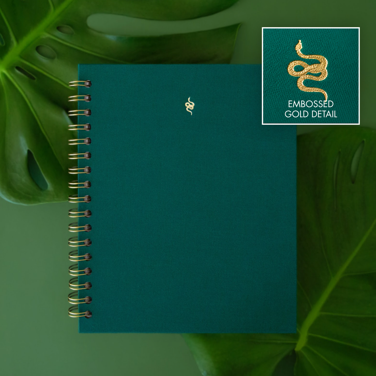 A detail photo of a gold embossed snake on a teal notebook.