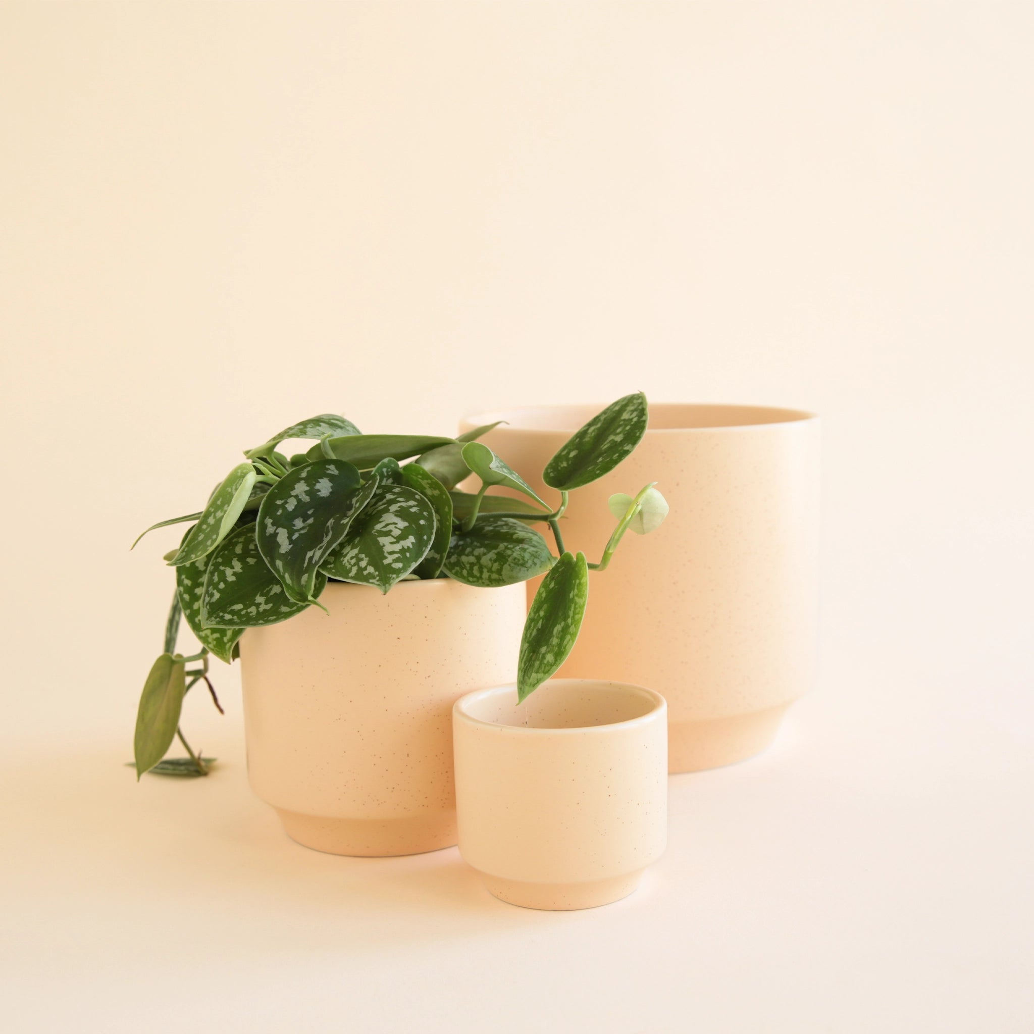 On an ivory background is three different sized ceramic planters in a neutral tan shade with a slight speckle and a tapered bottom.