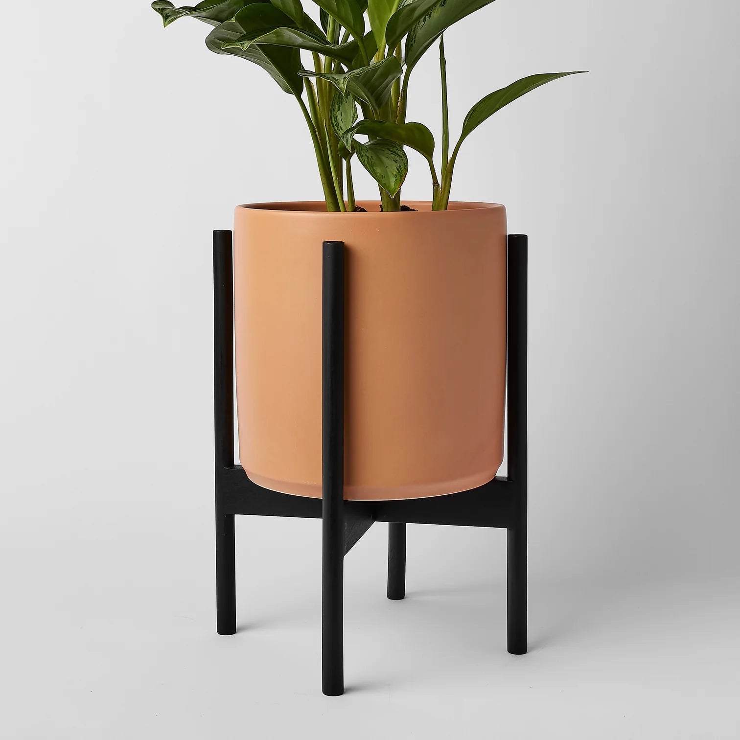 black indoor planter on stand The Ten Planter With Stand – Pigment