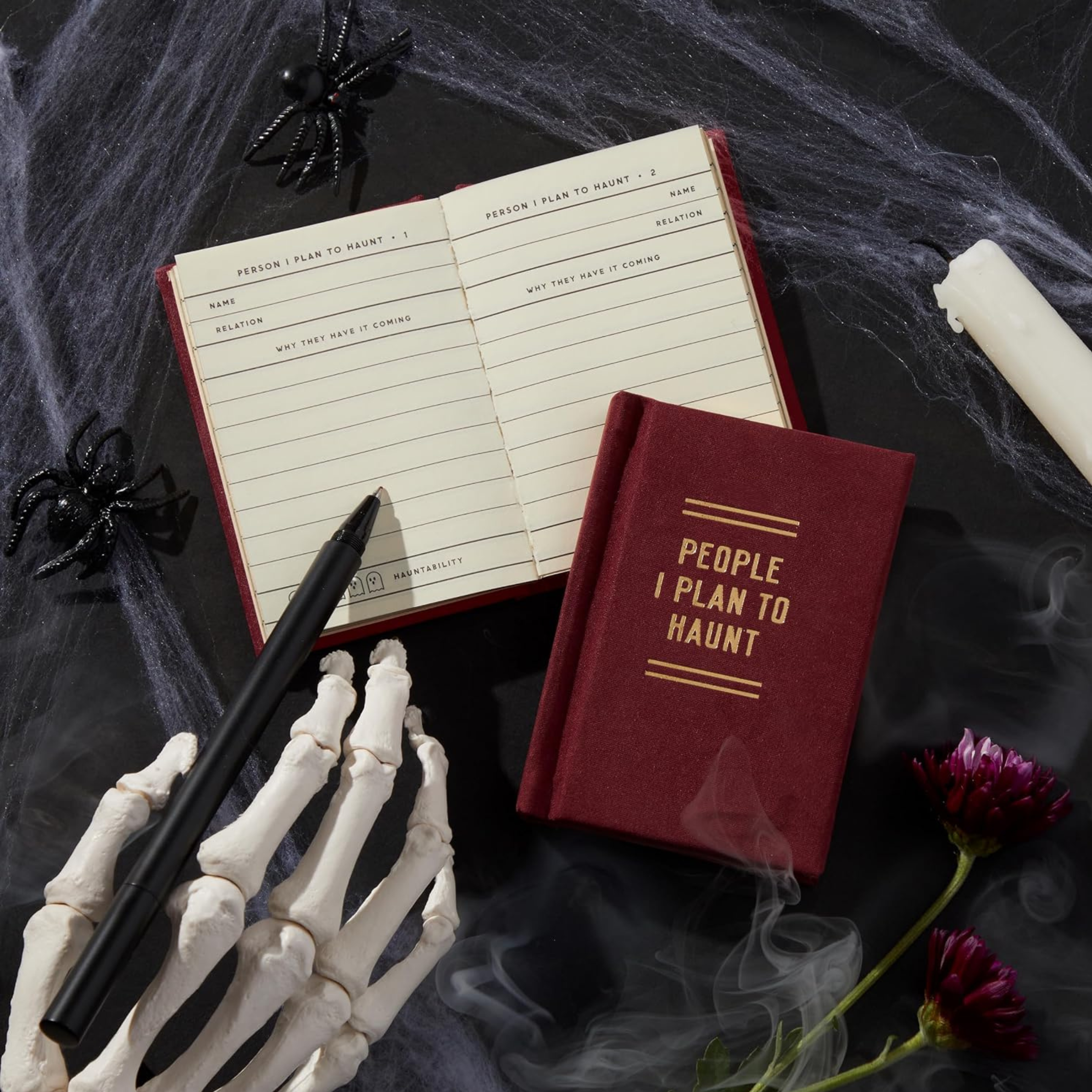 people i plan to haunt diary