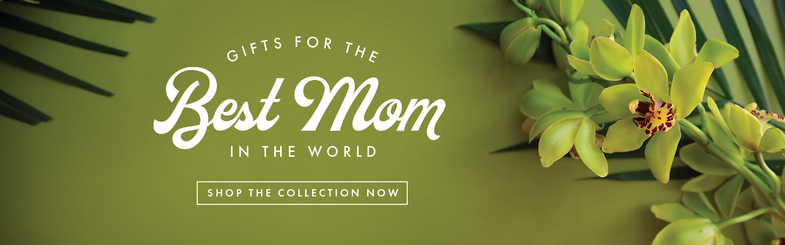 gifts for the best mom in the world. shop the collection now. green tropical flowers and leaves site on a green background.
