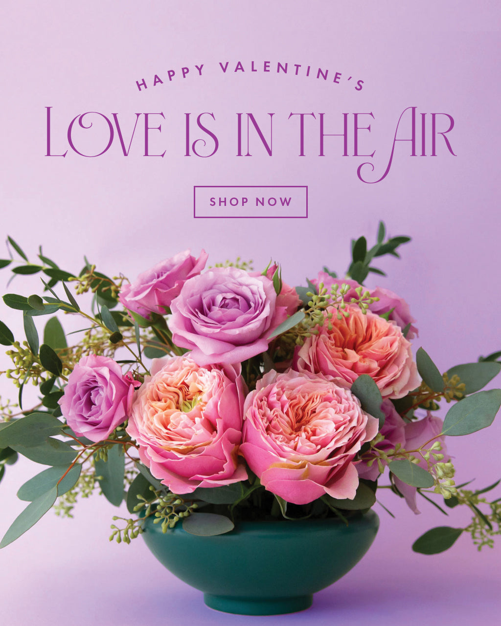 Bouquet of pink roses in a teal vase with 'Happy Valentine's Love is in the Air Shop Now' text on a light purple background.