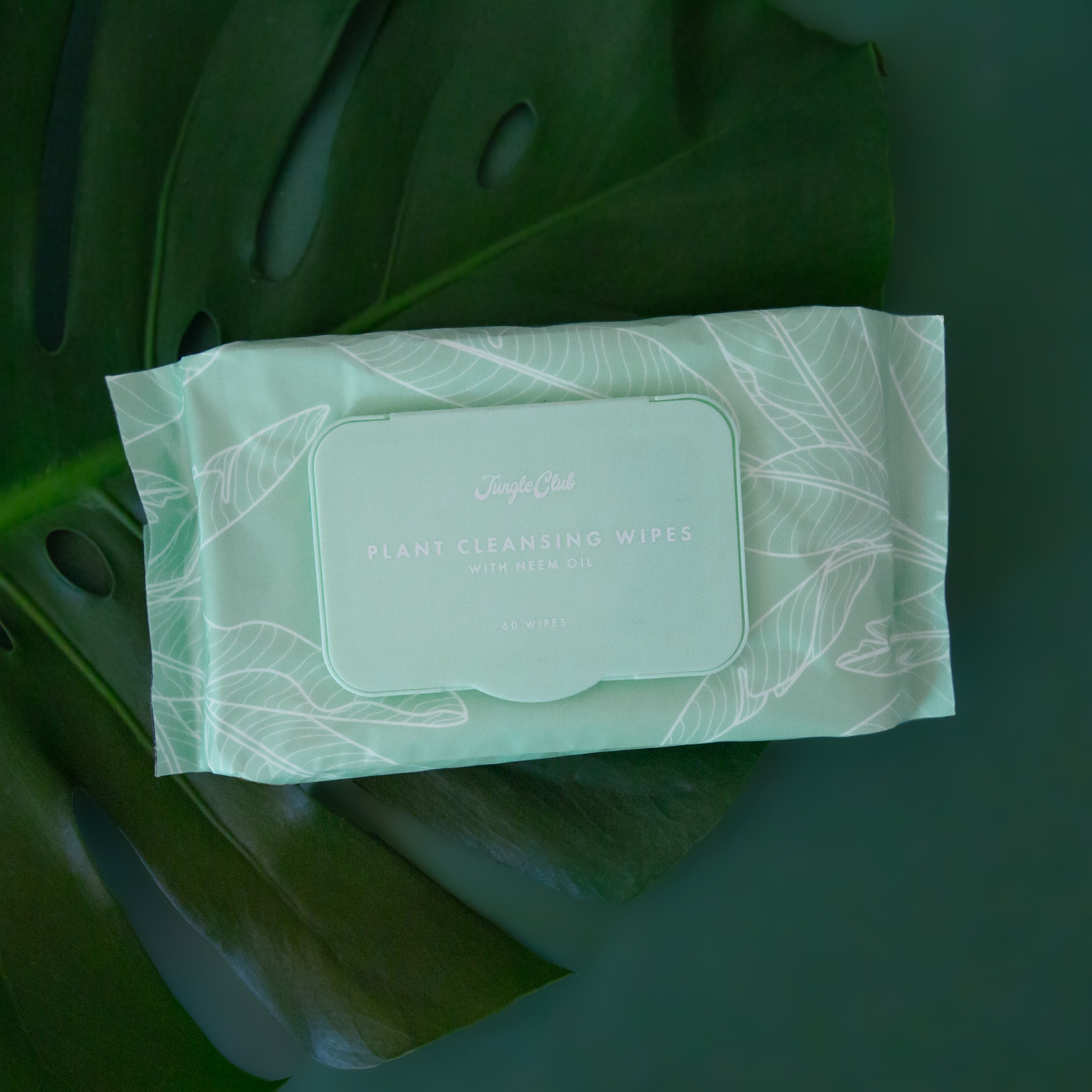 Blue package of cleansing wipes with white leaf detailing is shown against a green background. 