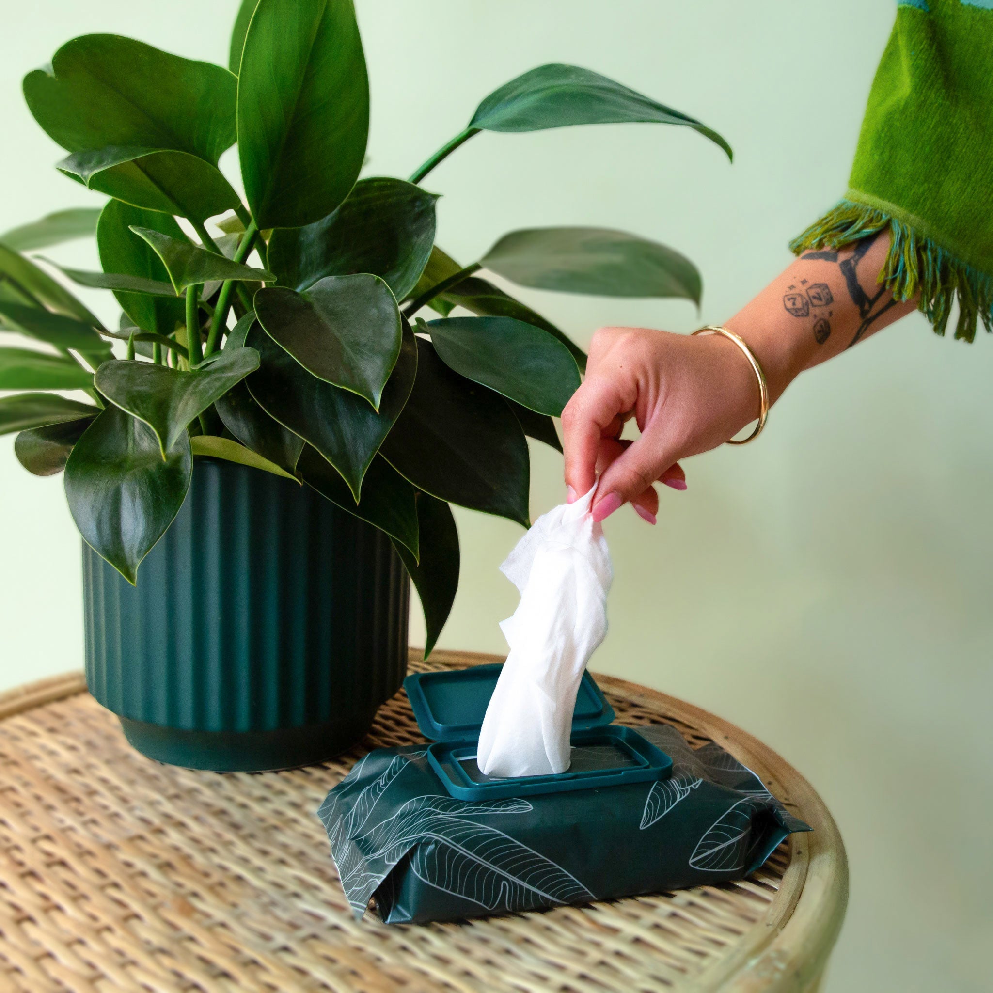 Plant Cleansing Wipes - Rainforest - Thumbnail 2